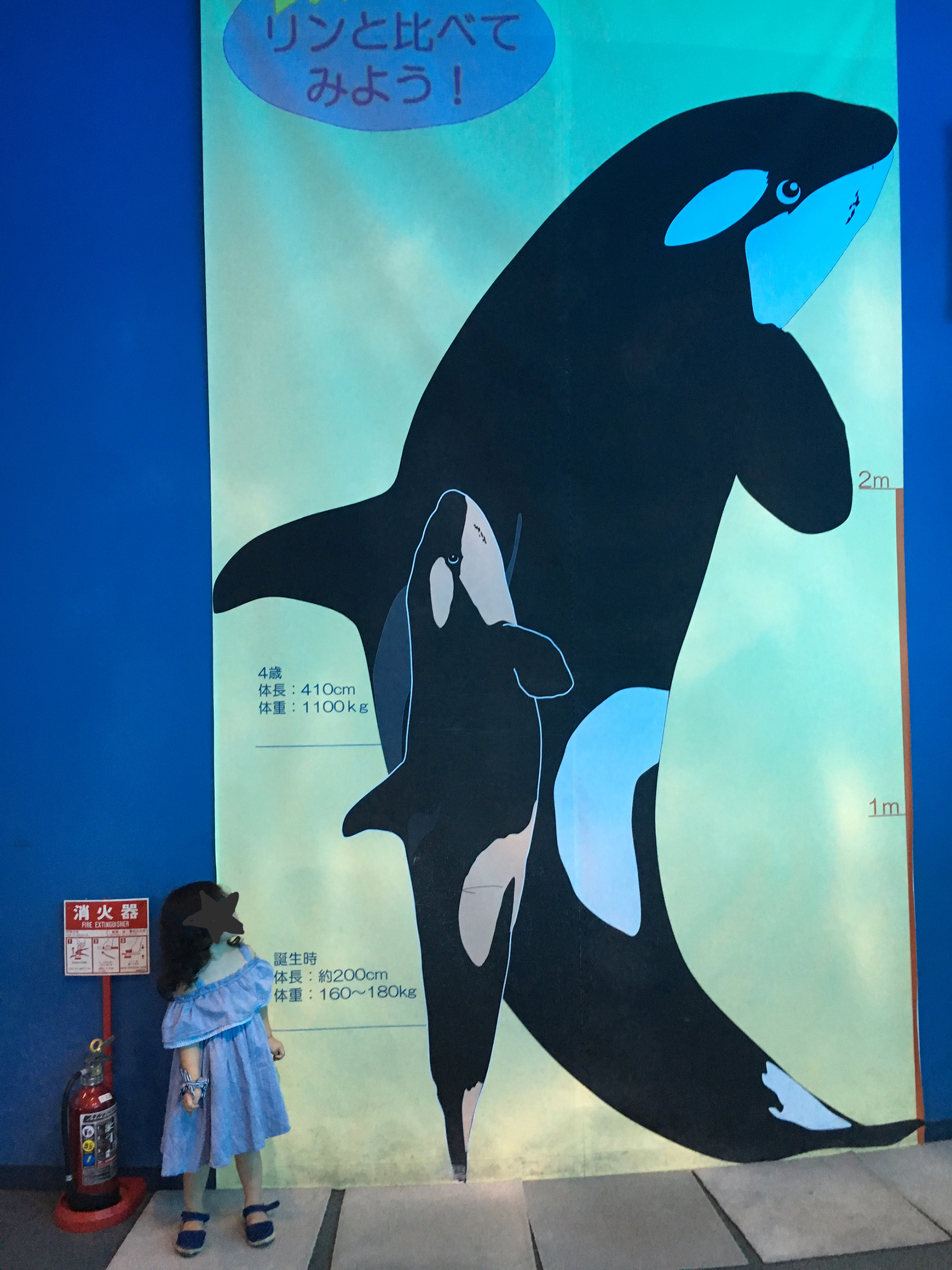 名古屋港水族館_口コミ投稿写真20180529001017