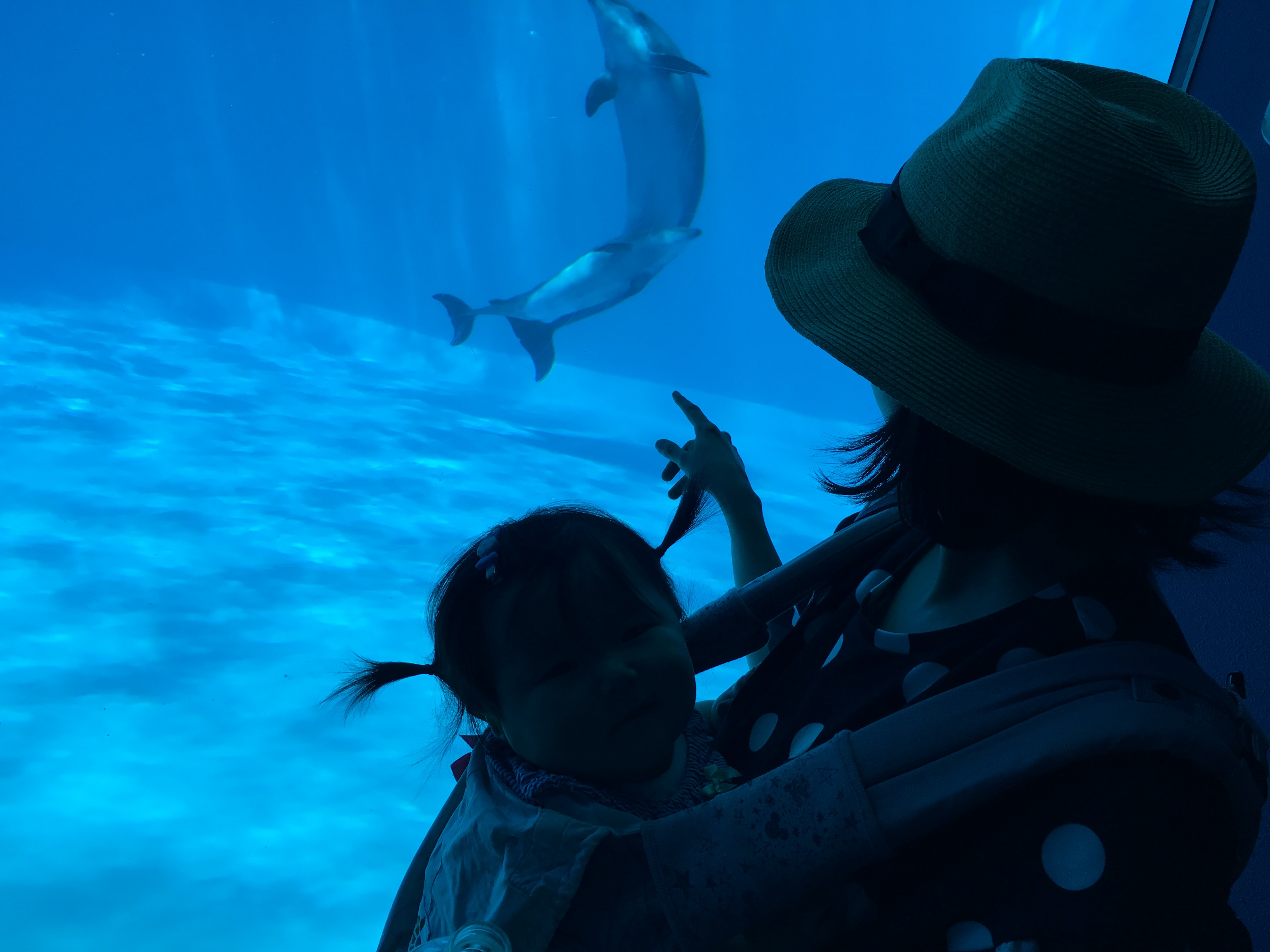 名古屋港水族館_口コミ投稿写真20180530174251