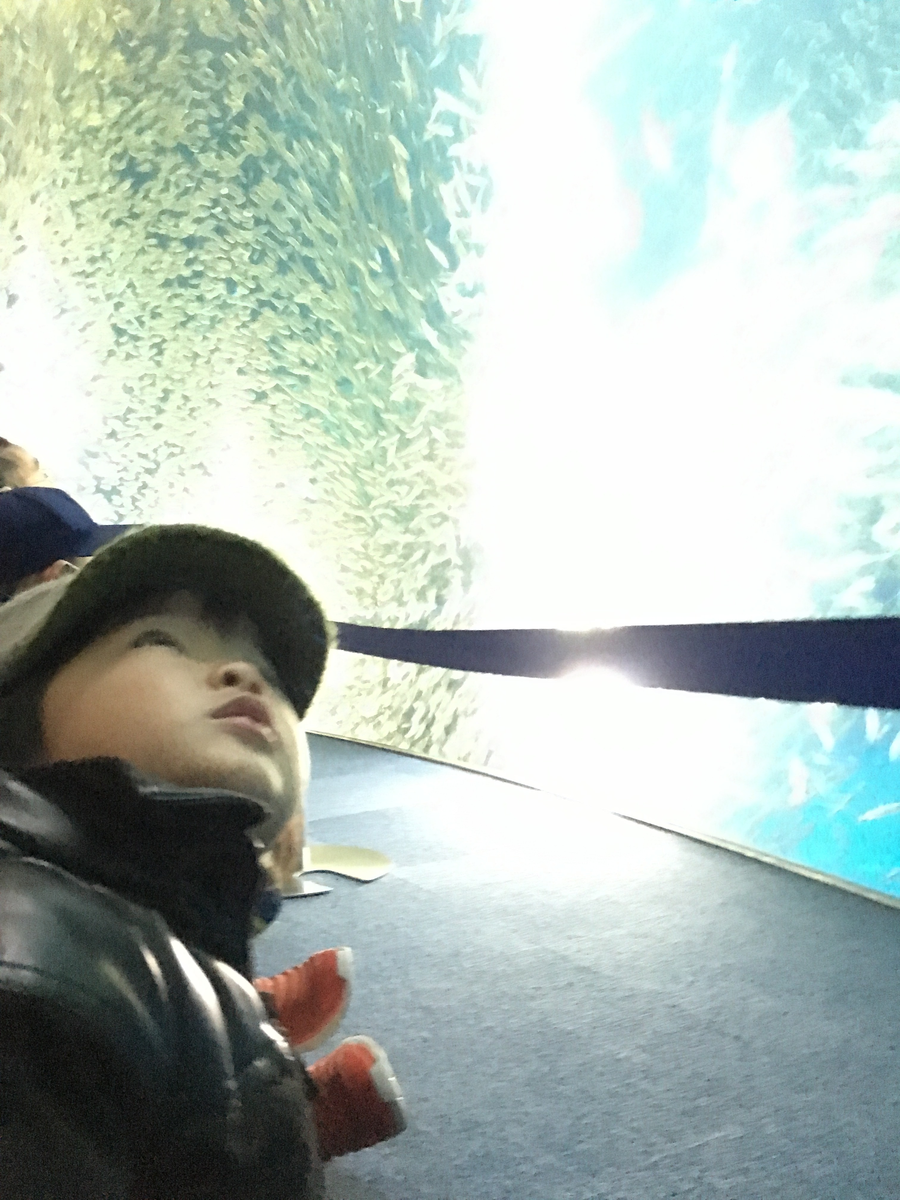 名古屋港水族館_口コミ投稿写真20180530212046