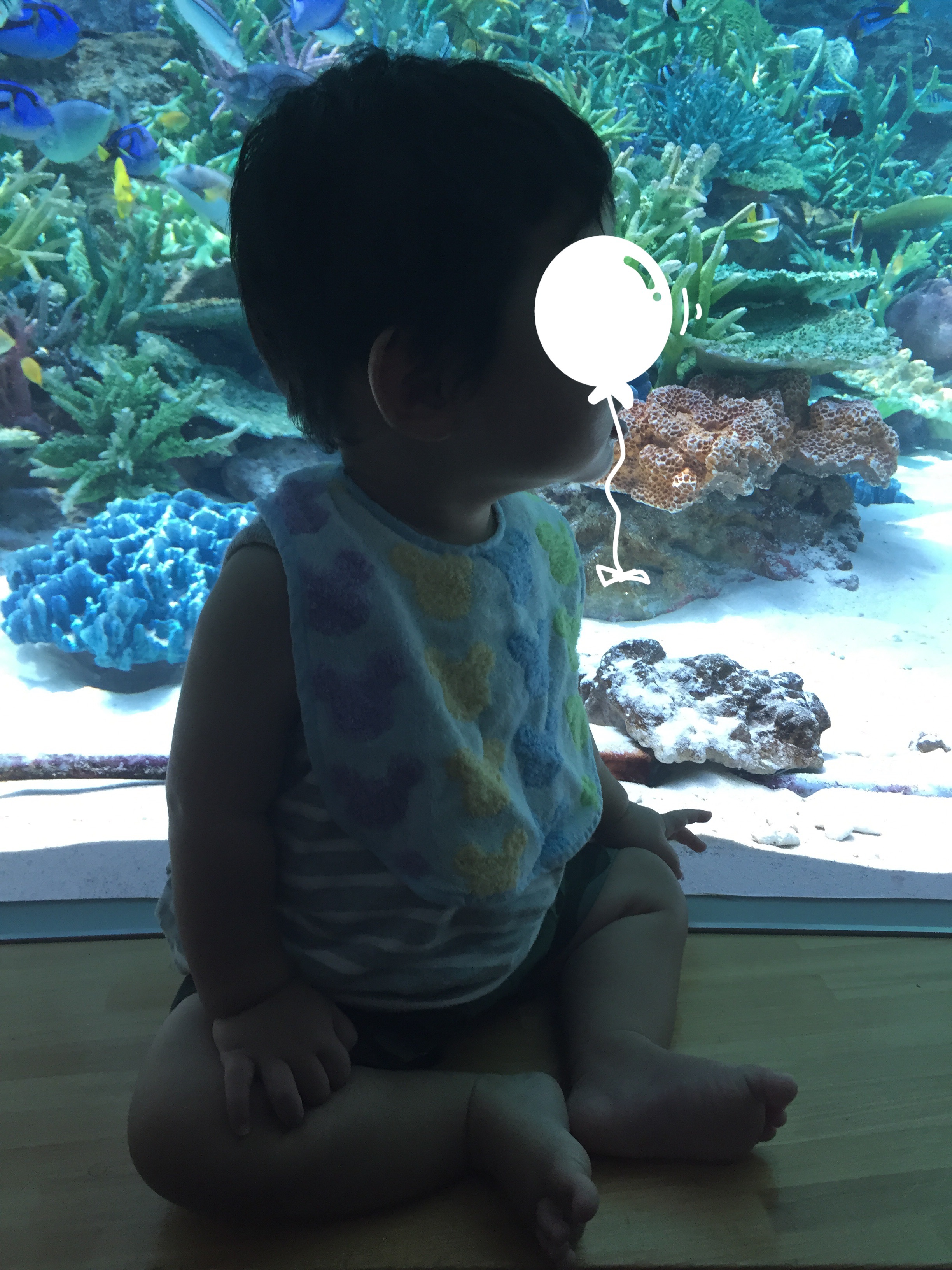 名古屋港水族館_口コミ投稿写真20180531211612