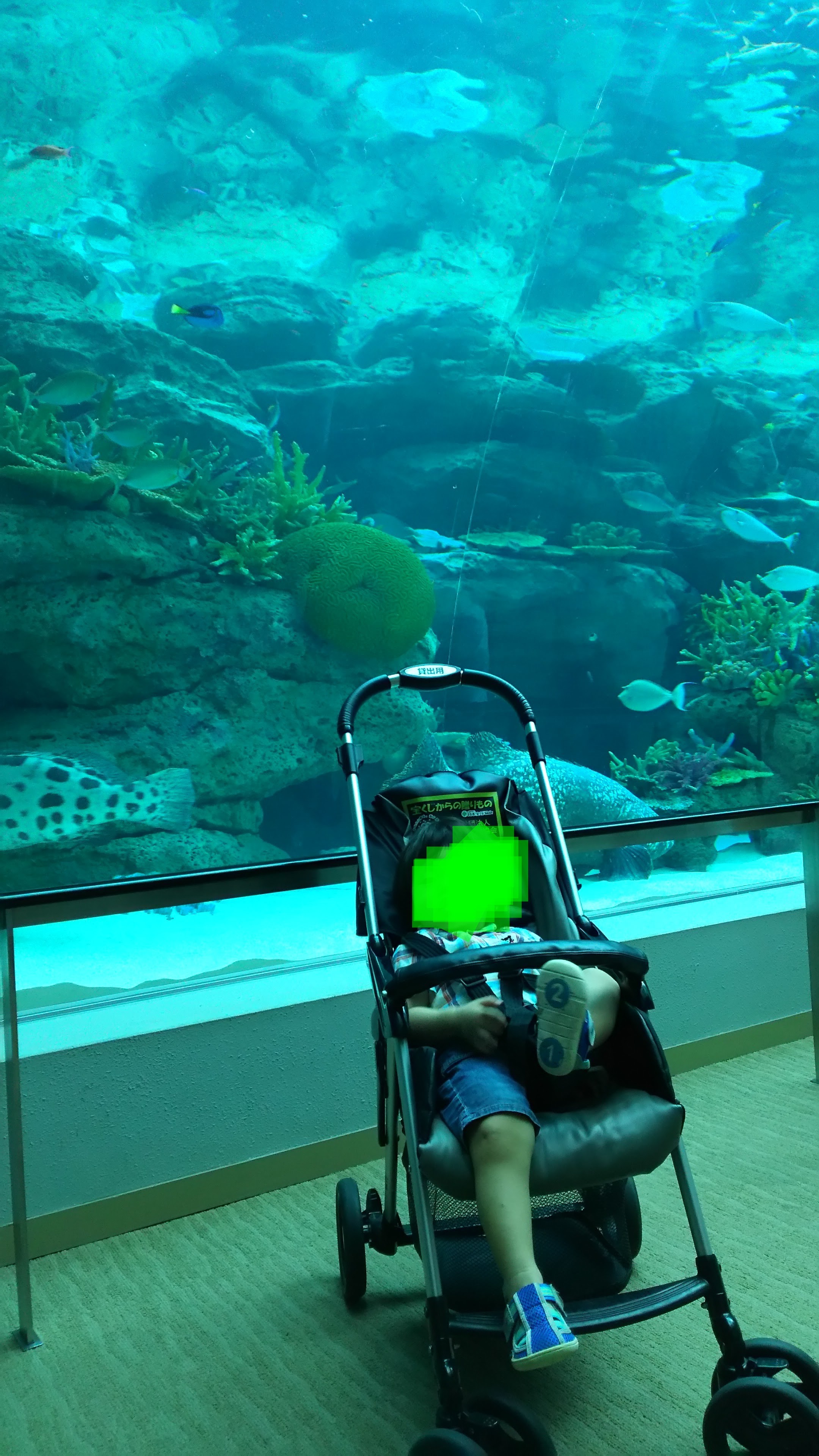 名古屋港水族館_口コミ投稿写真20180604063128