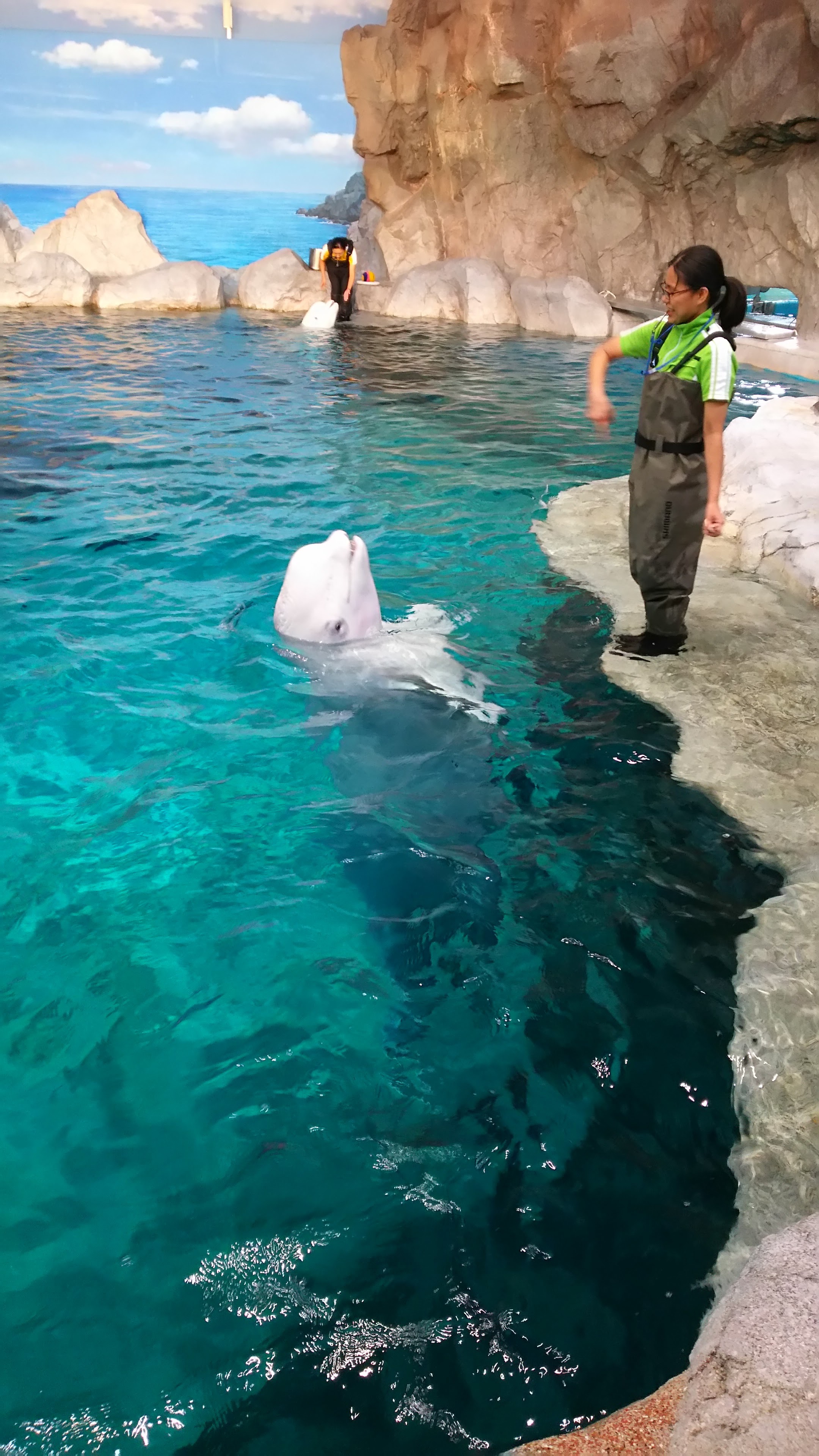 名古屋港水族館_口コミ投稿写真20180604063157