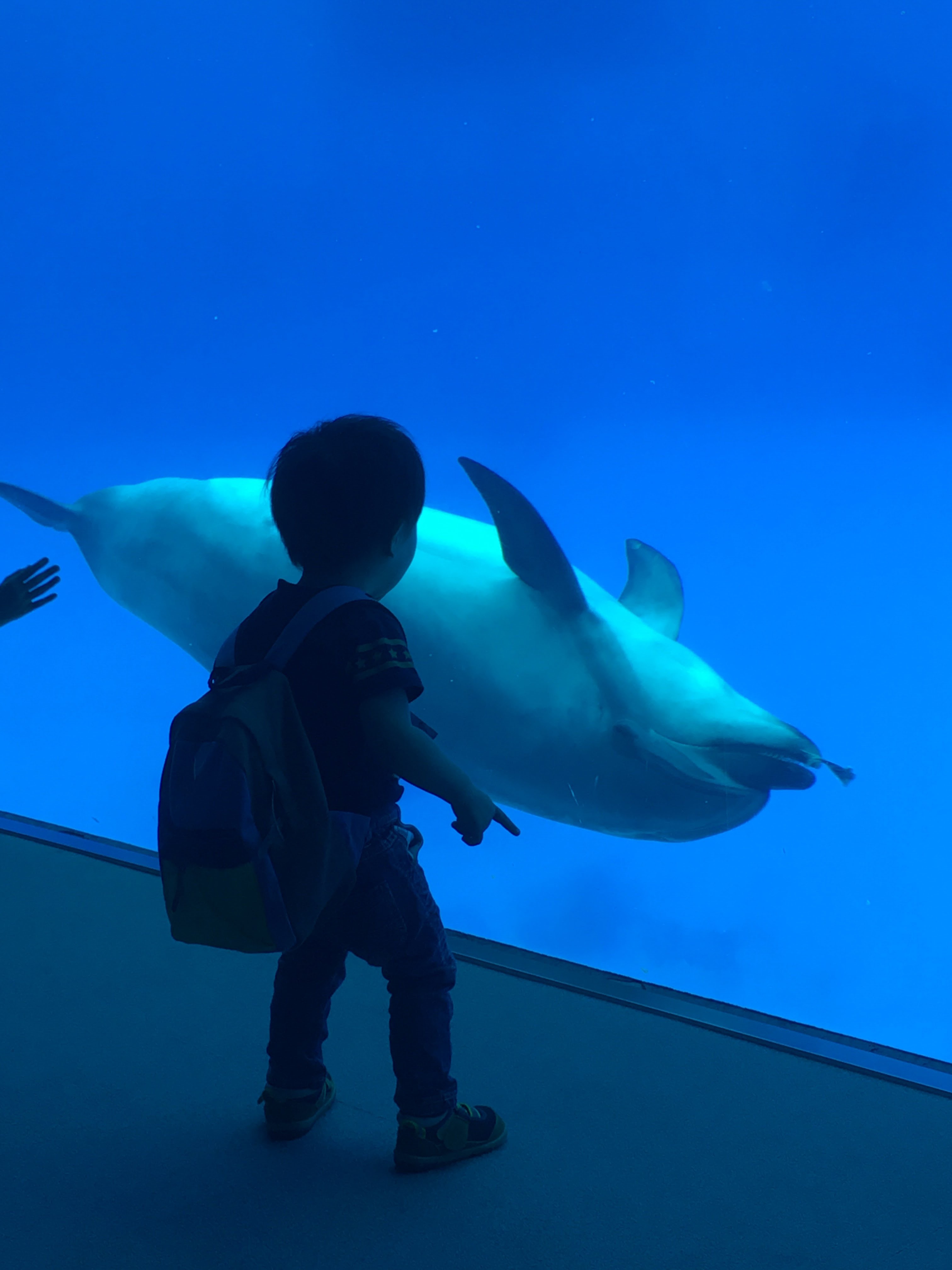 名古屋港水族館_口コミ投稿写真20180605224318