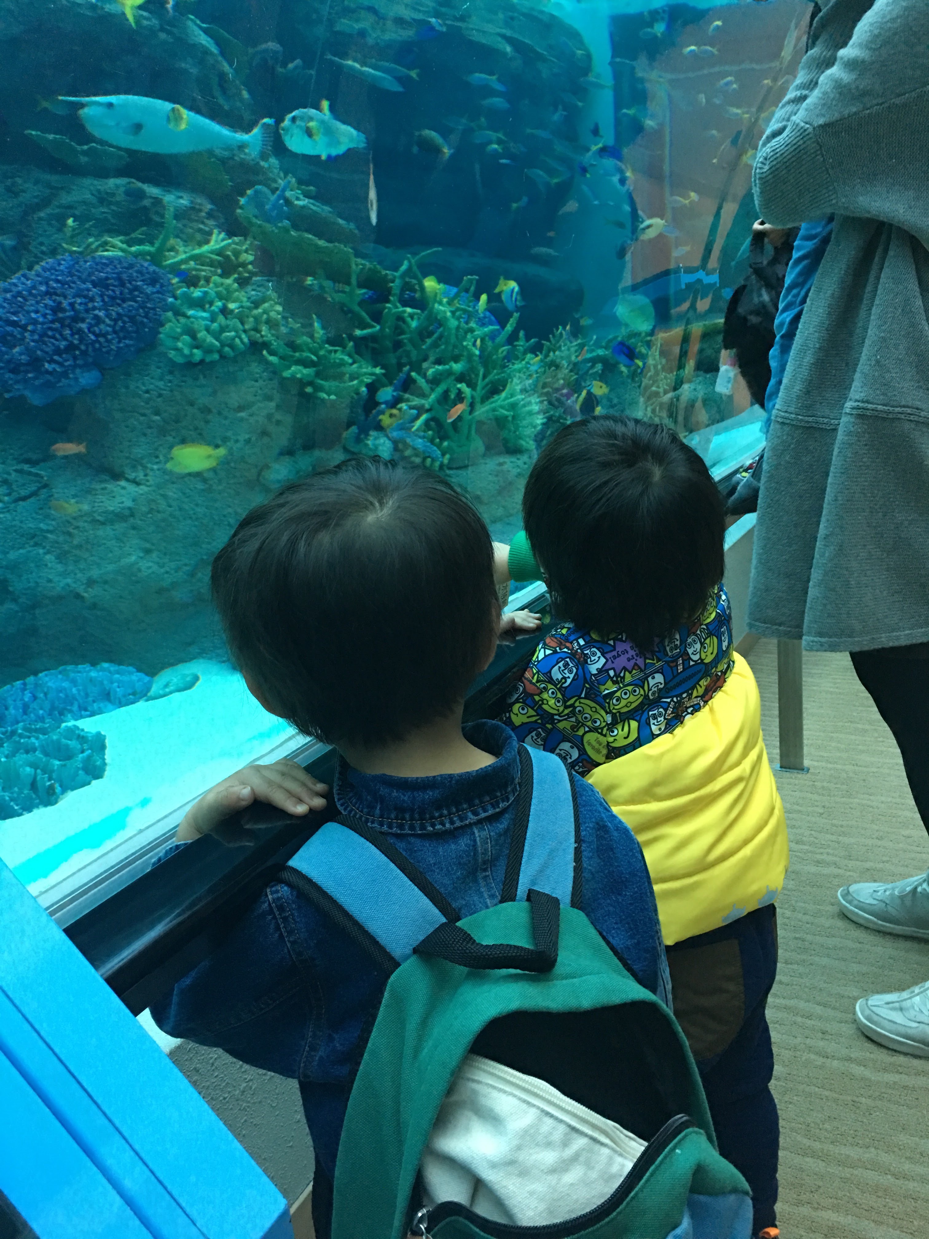 名古屋港水族館_口コミ投稿写真20180605224348