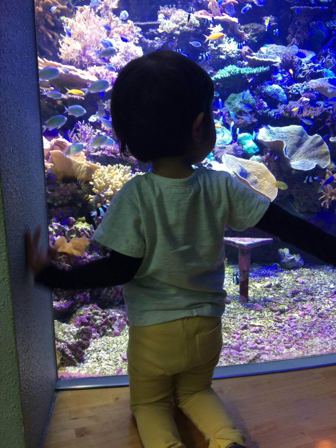 名古屋港水族館_口コミ投稿写真20180617103332