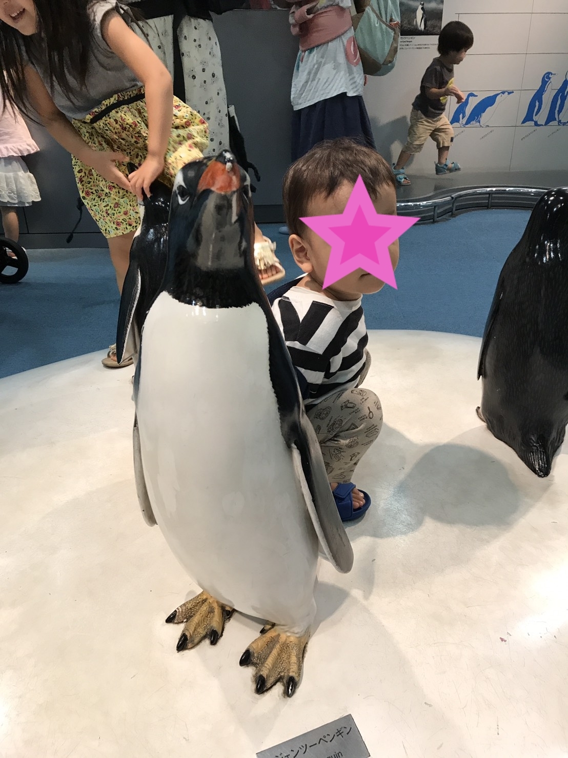 名古屋港水族館_口コミ投稿写真20180618151816