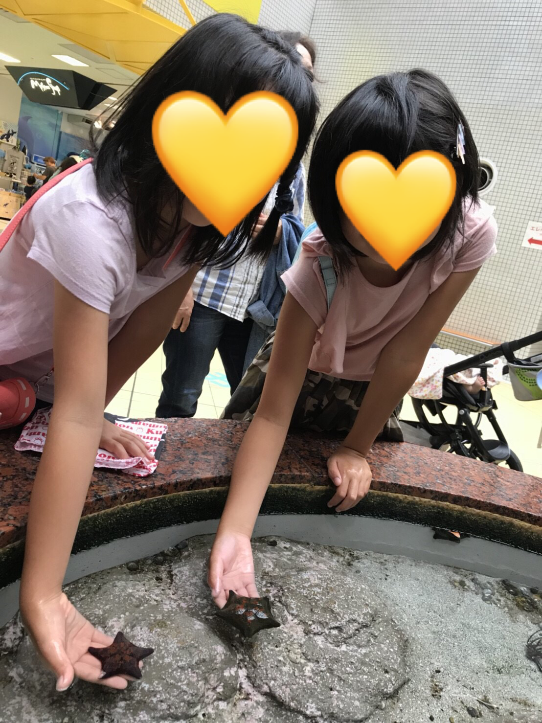 名古屋港水族館_口コミ投稿写真20180621215859