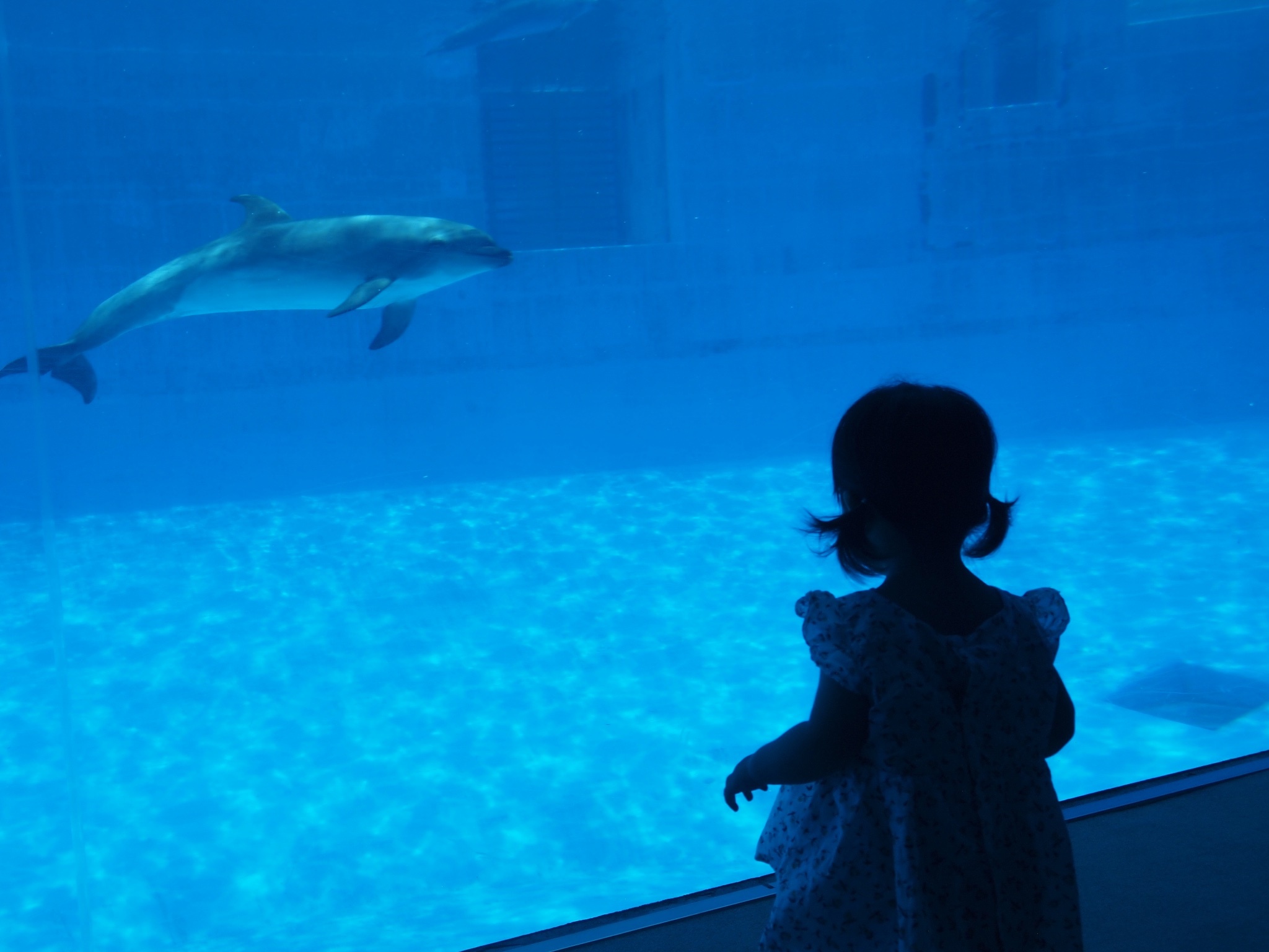 名古屋港水族館_口コミ投稿写真20180806234730