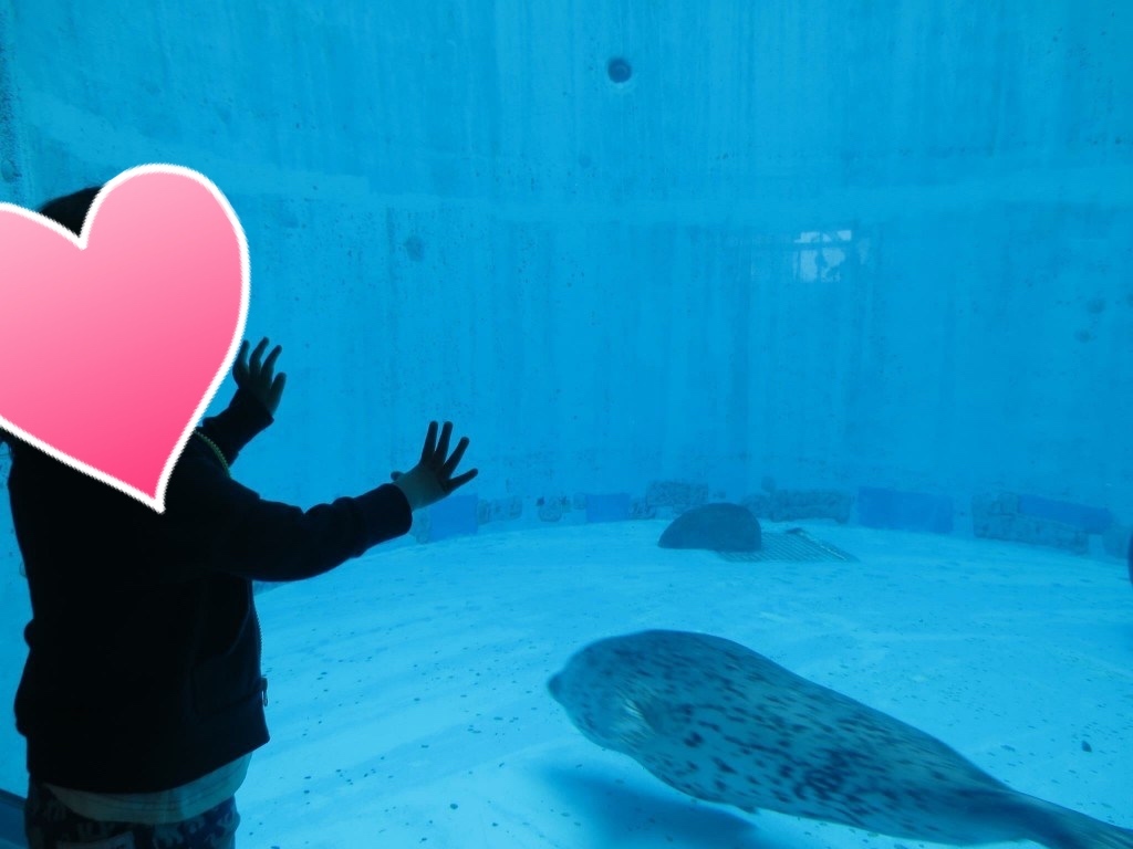 名古屋港水族館_口コミ投稿写真20181122140412