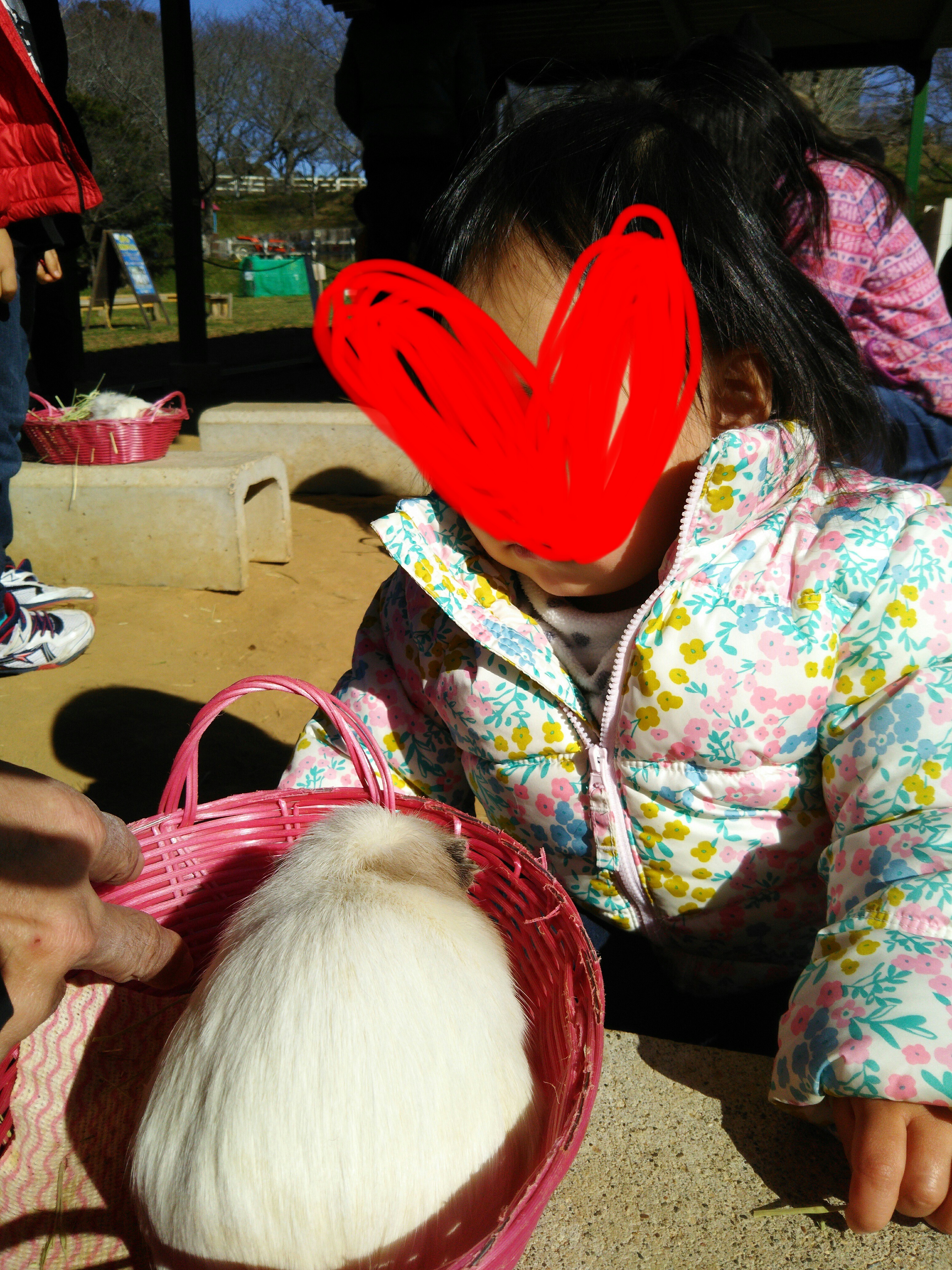 成田ゆめ牧場_口コミ投稿写真20180528195206