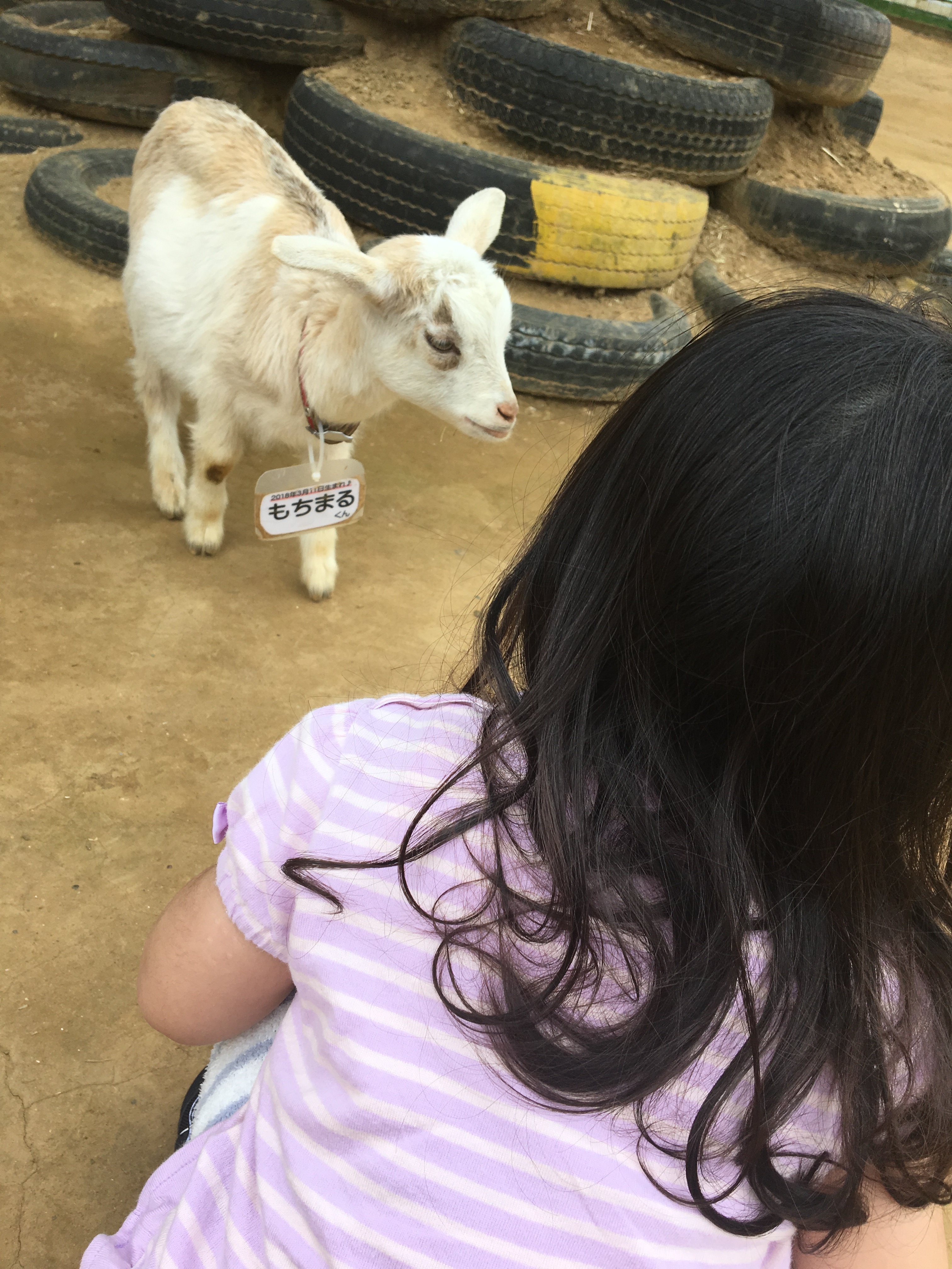 成田ゆめ牧場_口コミ投稿写真20180601034712