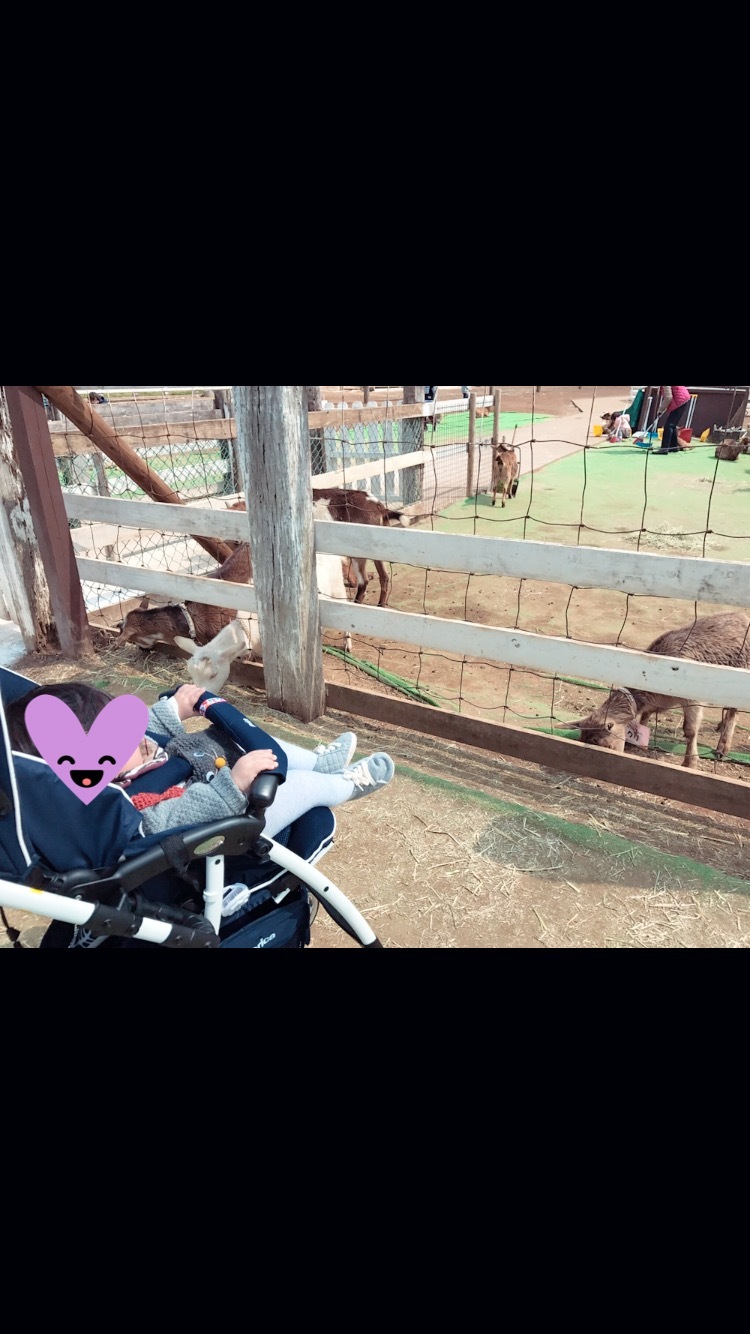 成田ゆめ牧場_口コミ投稿写真20180614145108