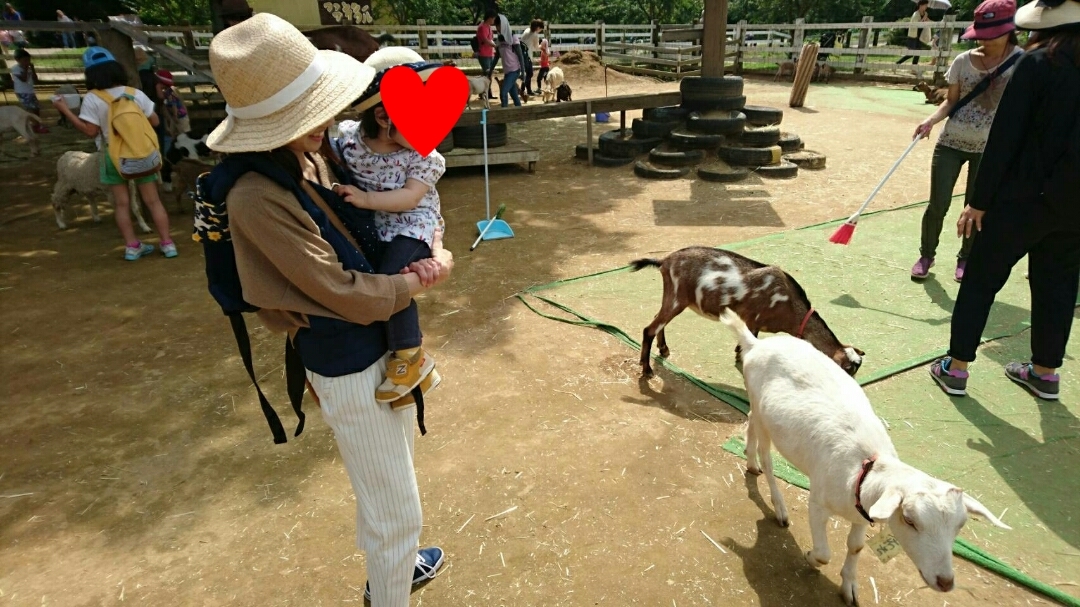 成田ゆめ牧場_口コミ投稿写真20180628120252