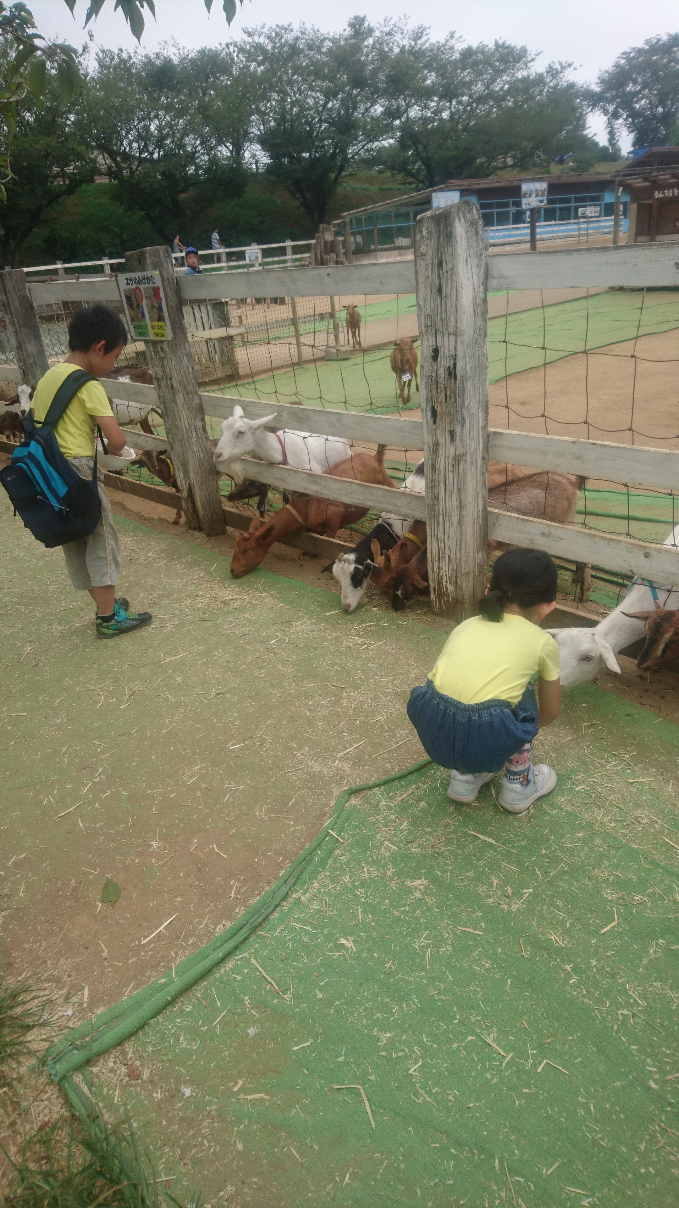 成田ゆめ牧場_口コミ投稿写真20180806200309