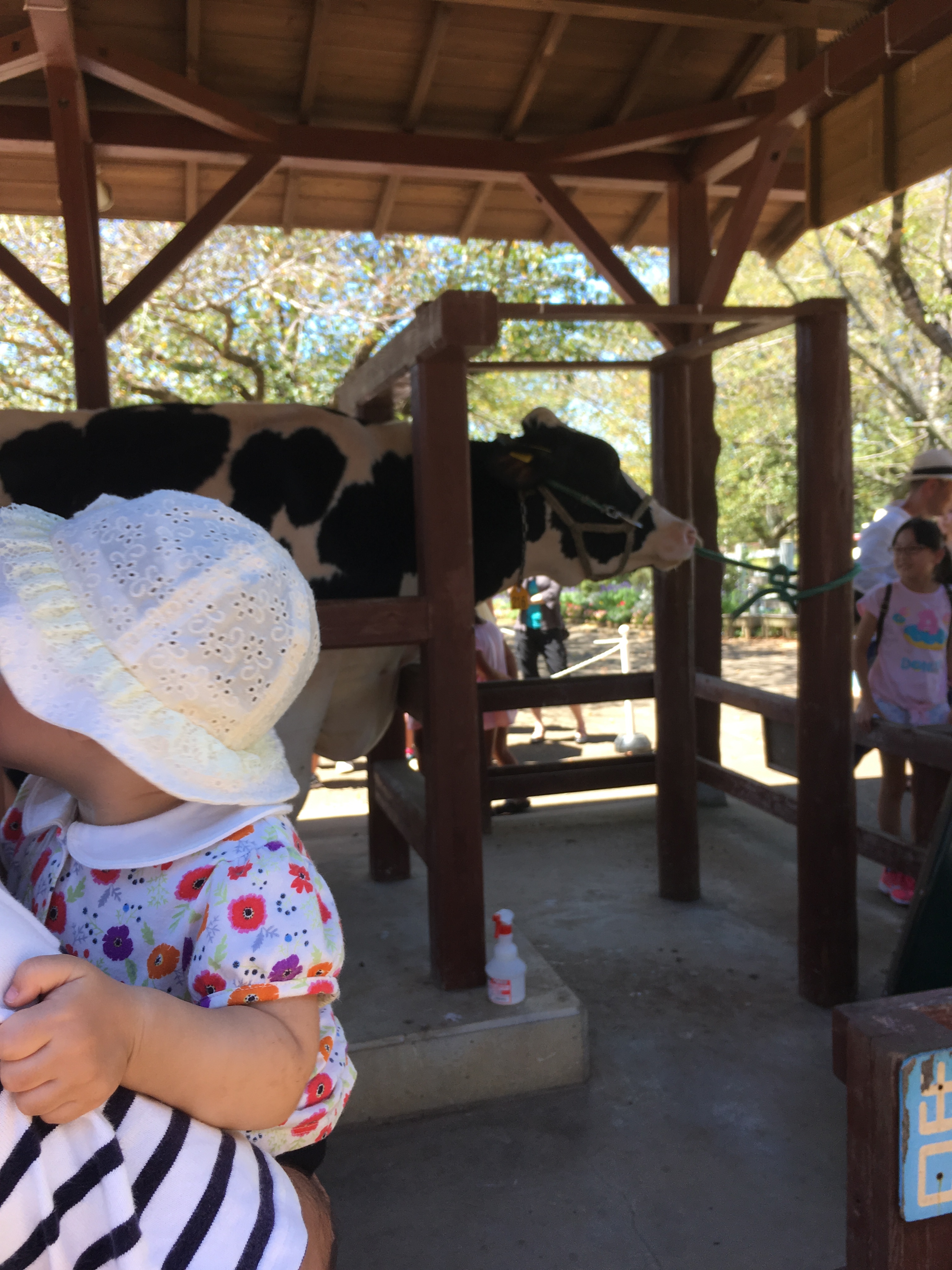 成田ゆめ牧場_口コミ投稿写真20180828110317