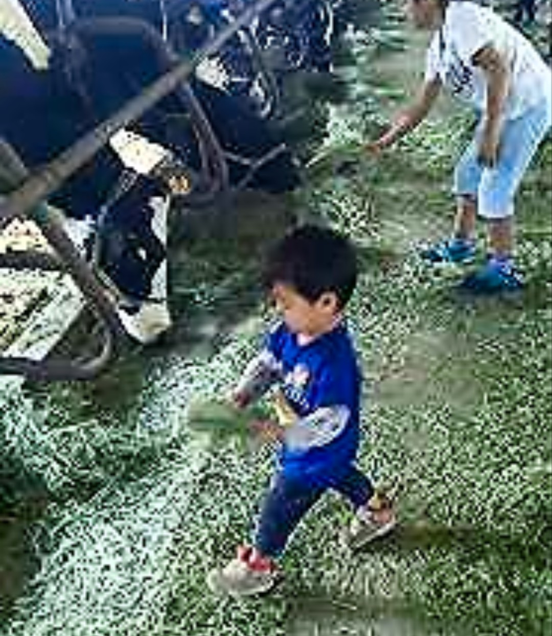 成田ゆめ牧場_口コミ投稿写真20180908022720