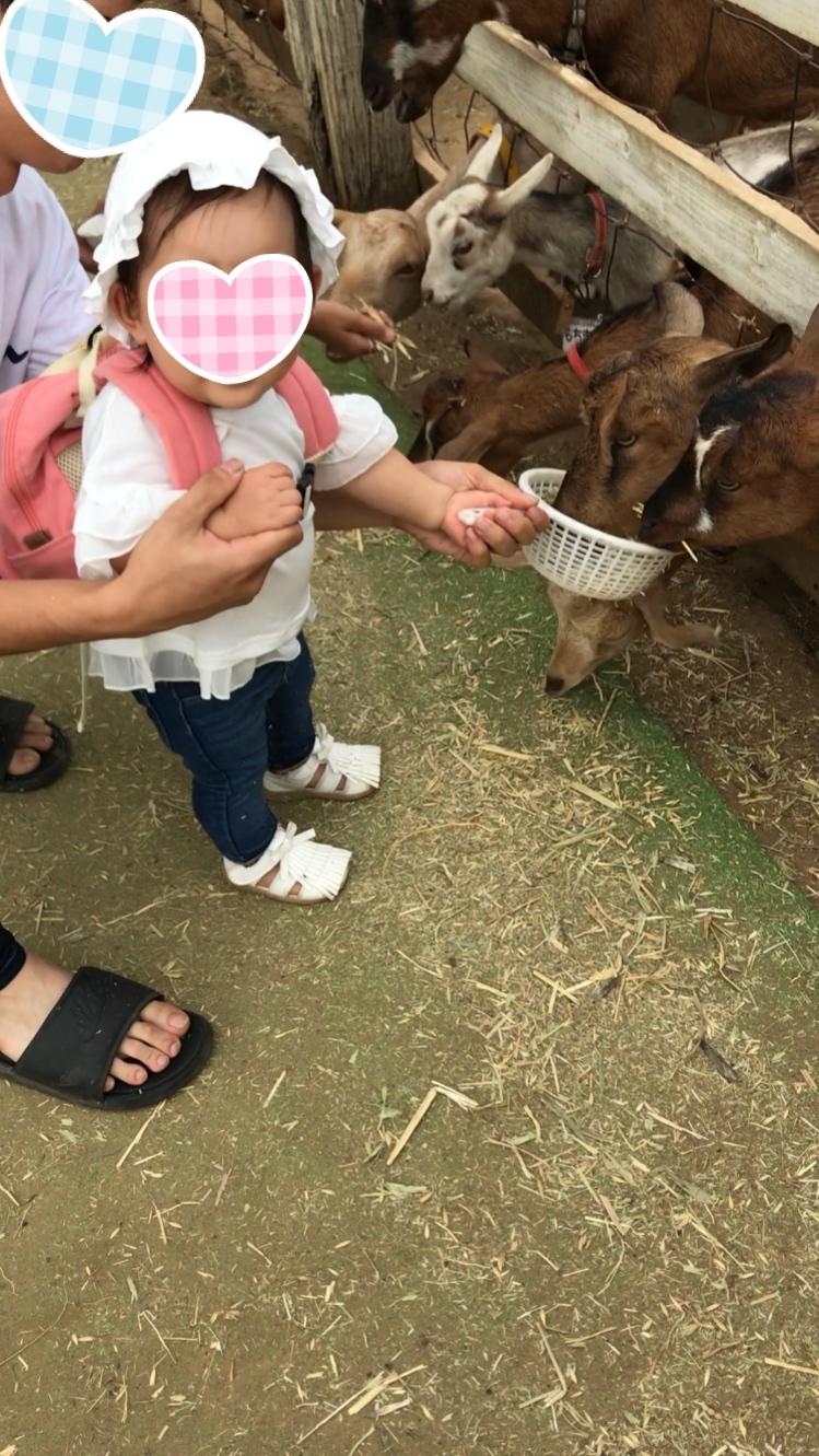 成田ゆめ牧場_口コミ投稿写真20180930110457