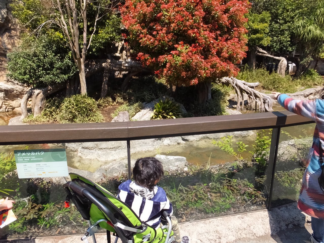 恩賜上野動物園 台東区 上野駅 口コミ 評判 Epark