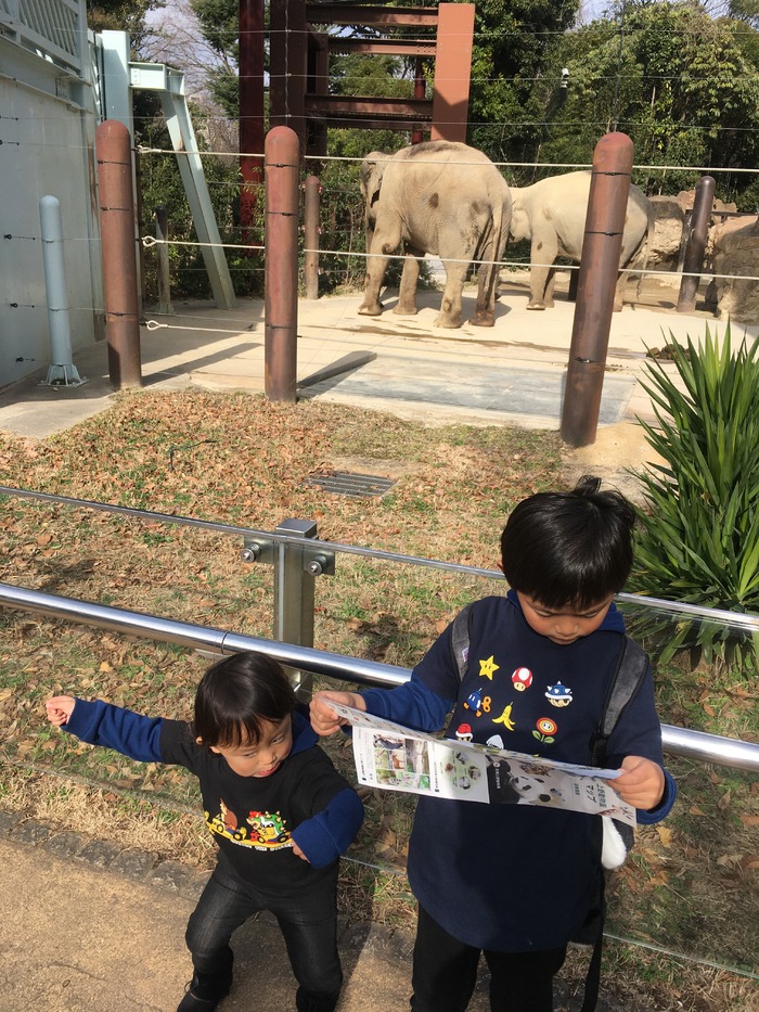 恩賜上野動物園 台東区 上野駅 口コミ 評判 Epark