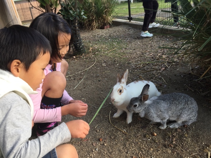 赤穂海浜公園動物ふれあい村 赤穂市 播州赤穂駅 口コミ 評判 Epark