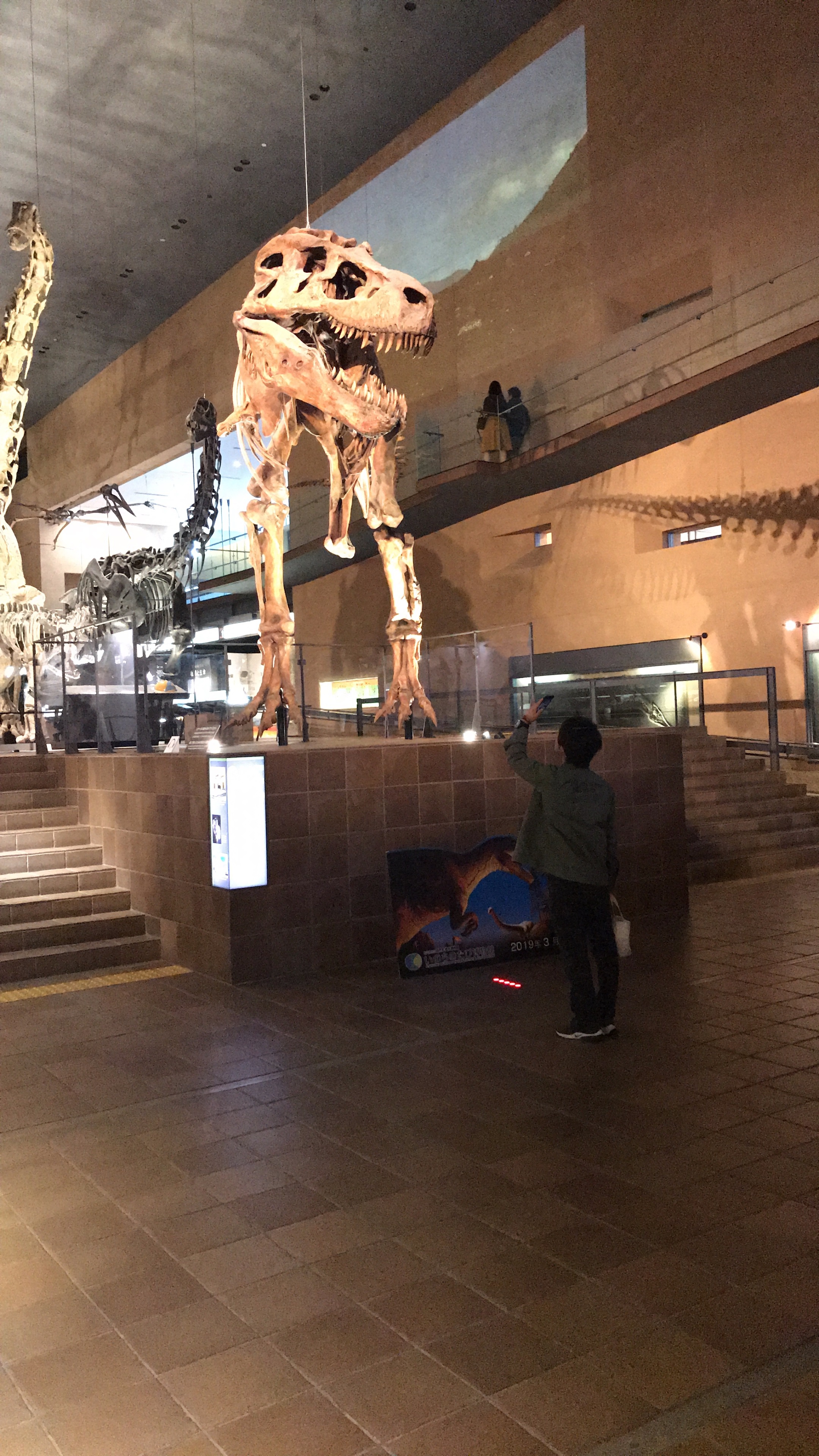 北九州市立いのちのたび博物館 北九州市八幡東区 スペースワールド駅 口コミ 評判 Epark