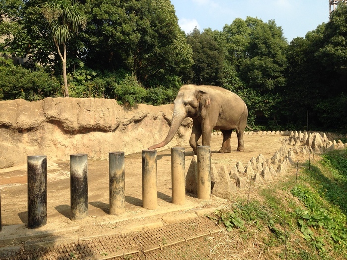 到津の森公園_口コミ投稿写真20160822160957360