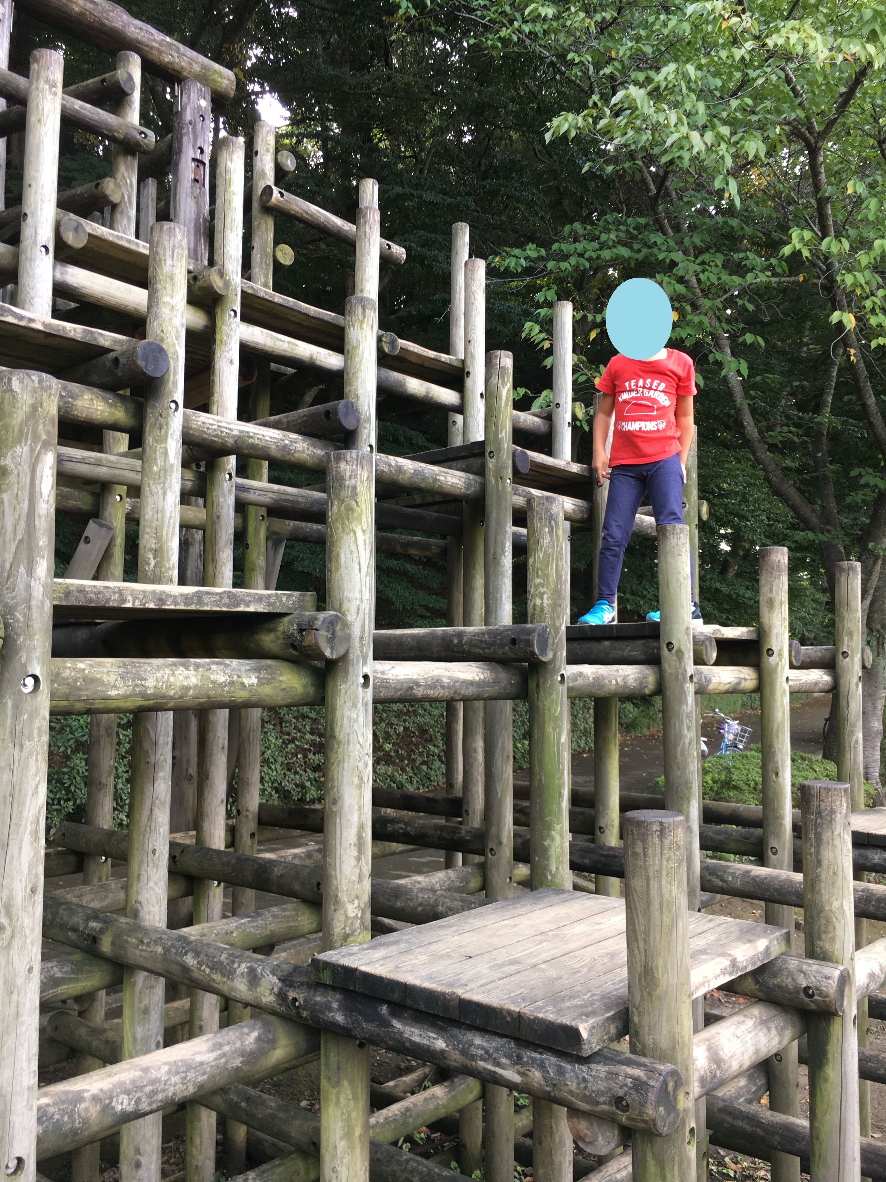 八千代総合運動公園 八千代市 村上駅 口コミ 評判 Epark
