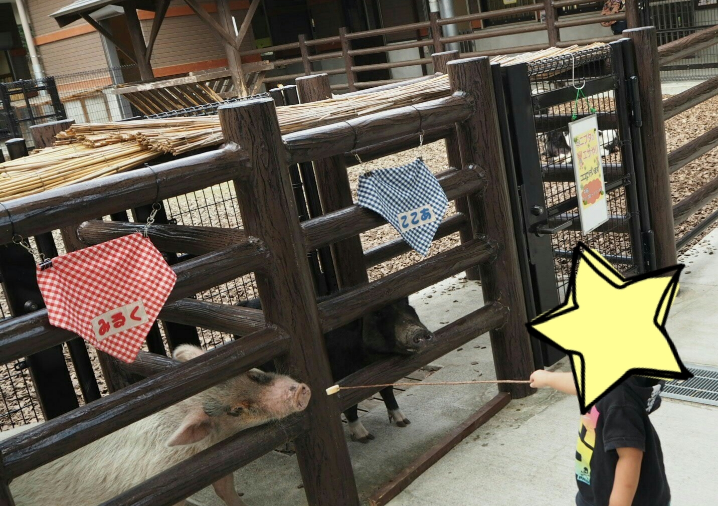 口コミ 豊川市赤塚山公園 豊川市 口コミ 評判 Epark