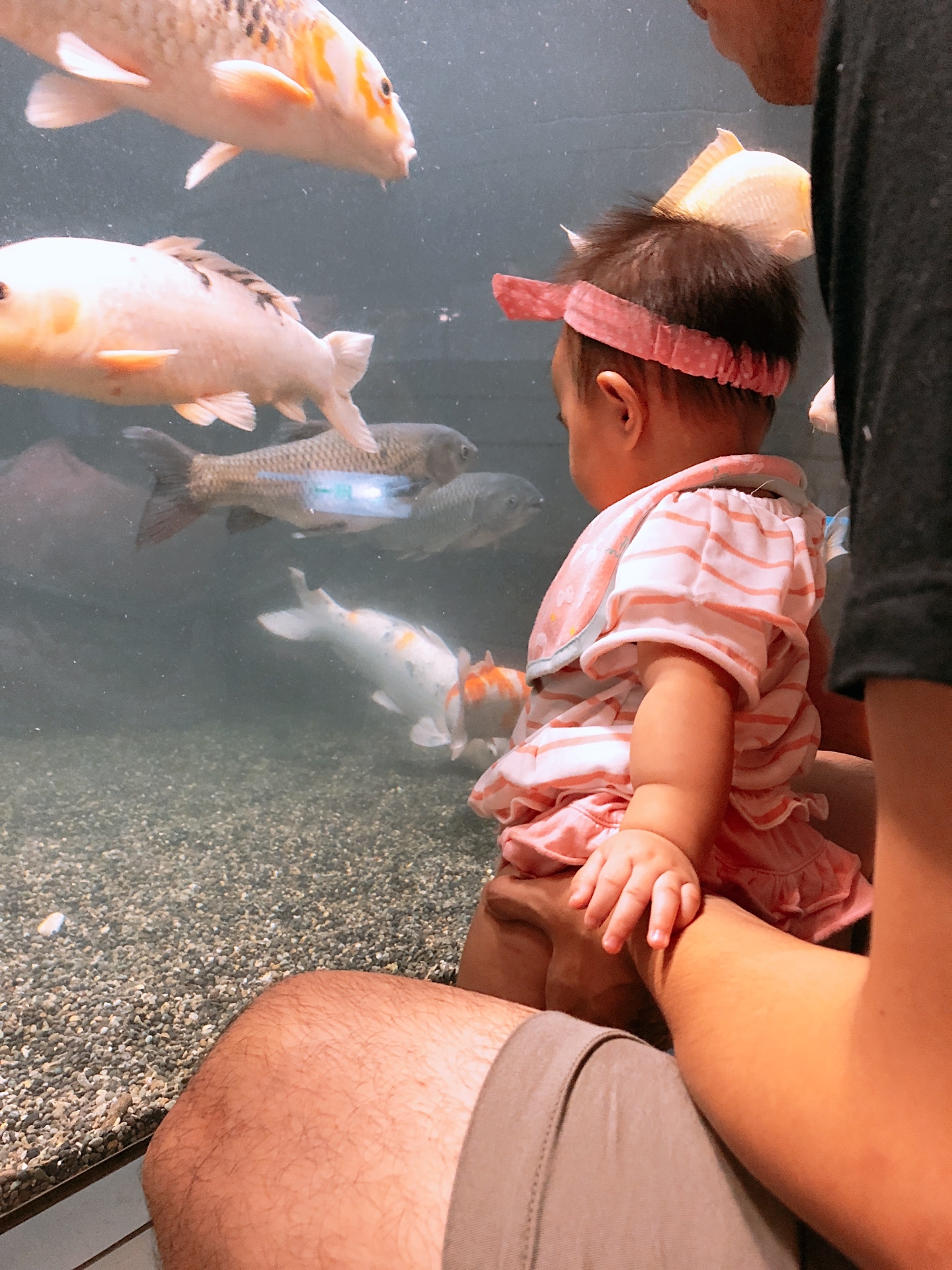 豊川市赤塚山公園 豊川市 口コミ 評判 Epark