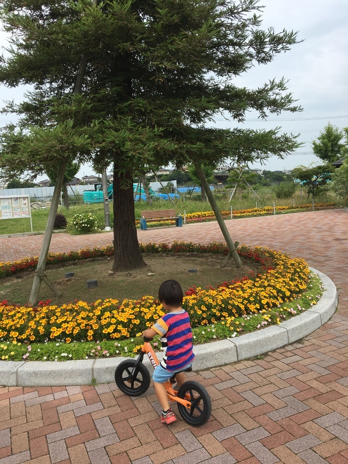 明石北わんぱく広場 明石市 口コミ 評判 Epark