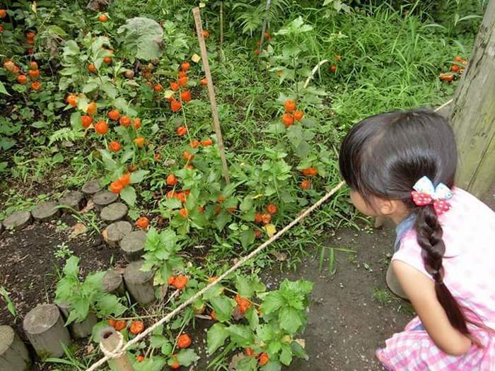 向島百花園 墨田区 東向島駅 口コミ 評判 Epark