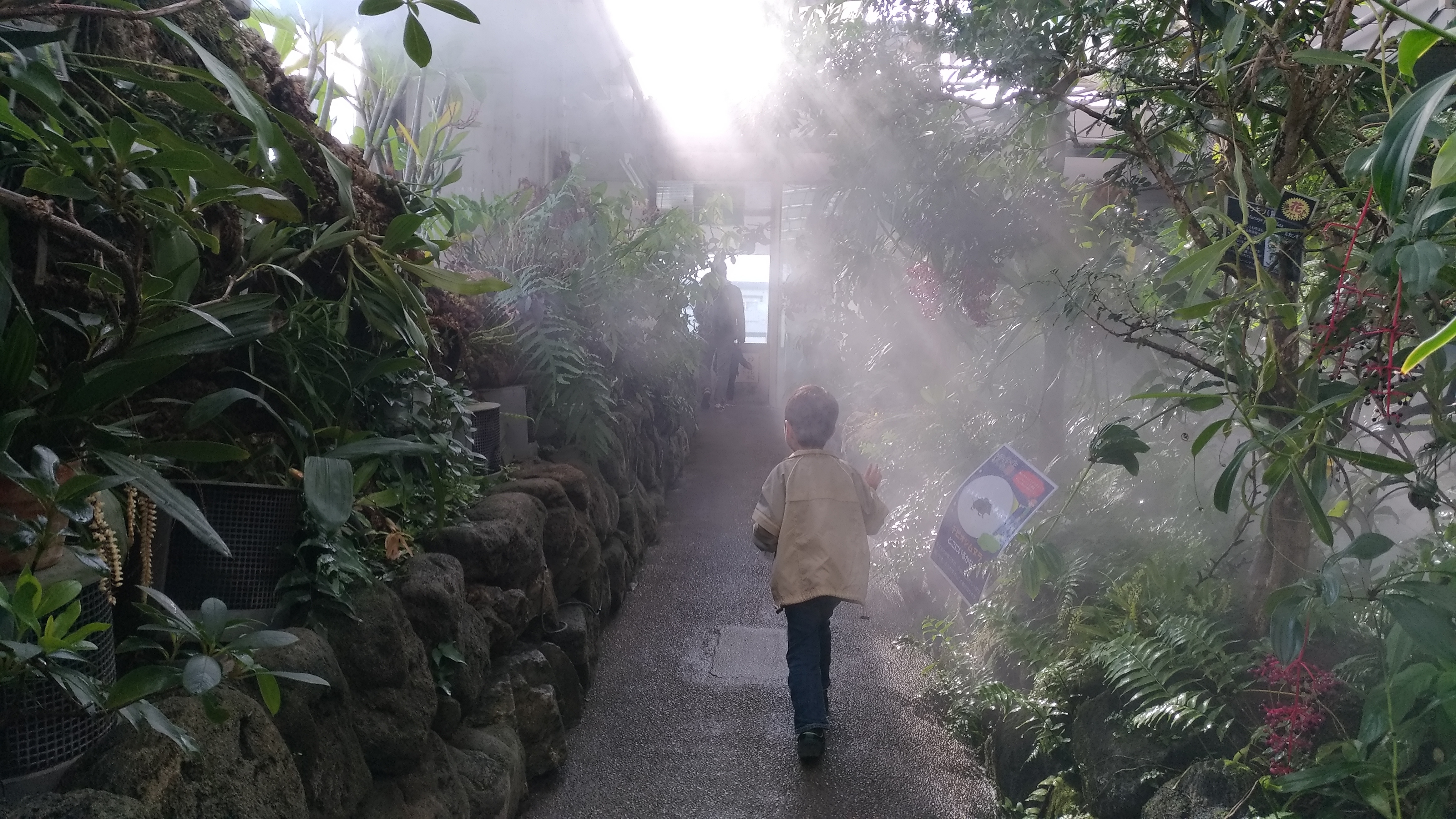 板橋区立熱帯環境植物館 板橋区 高島平駅 口コミ 評判 Epark