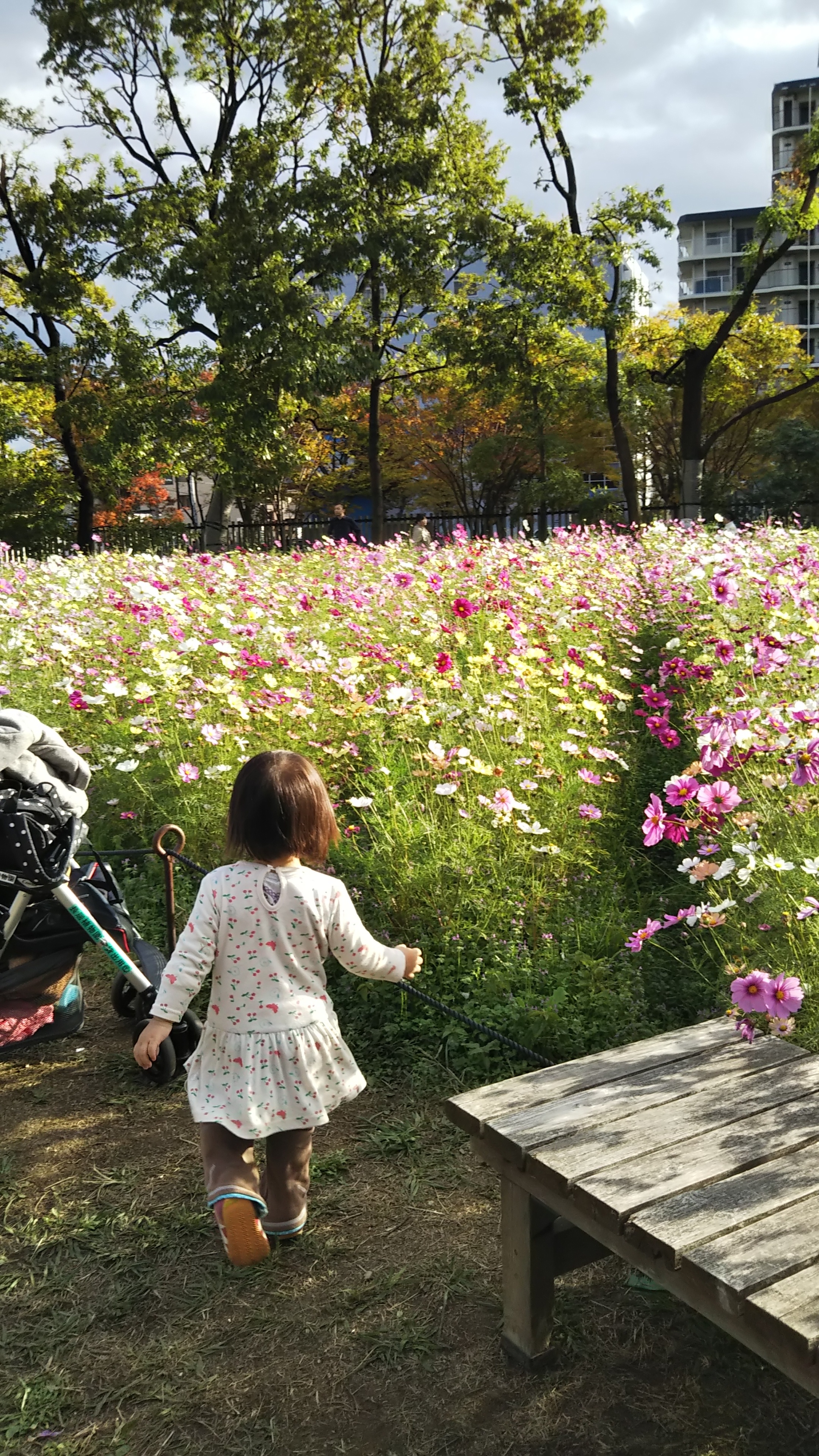 大阪市立長居植物園_口コミ投稿写真20181128205252