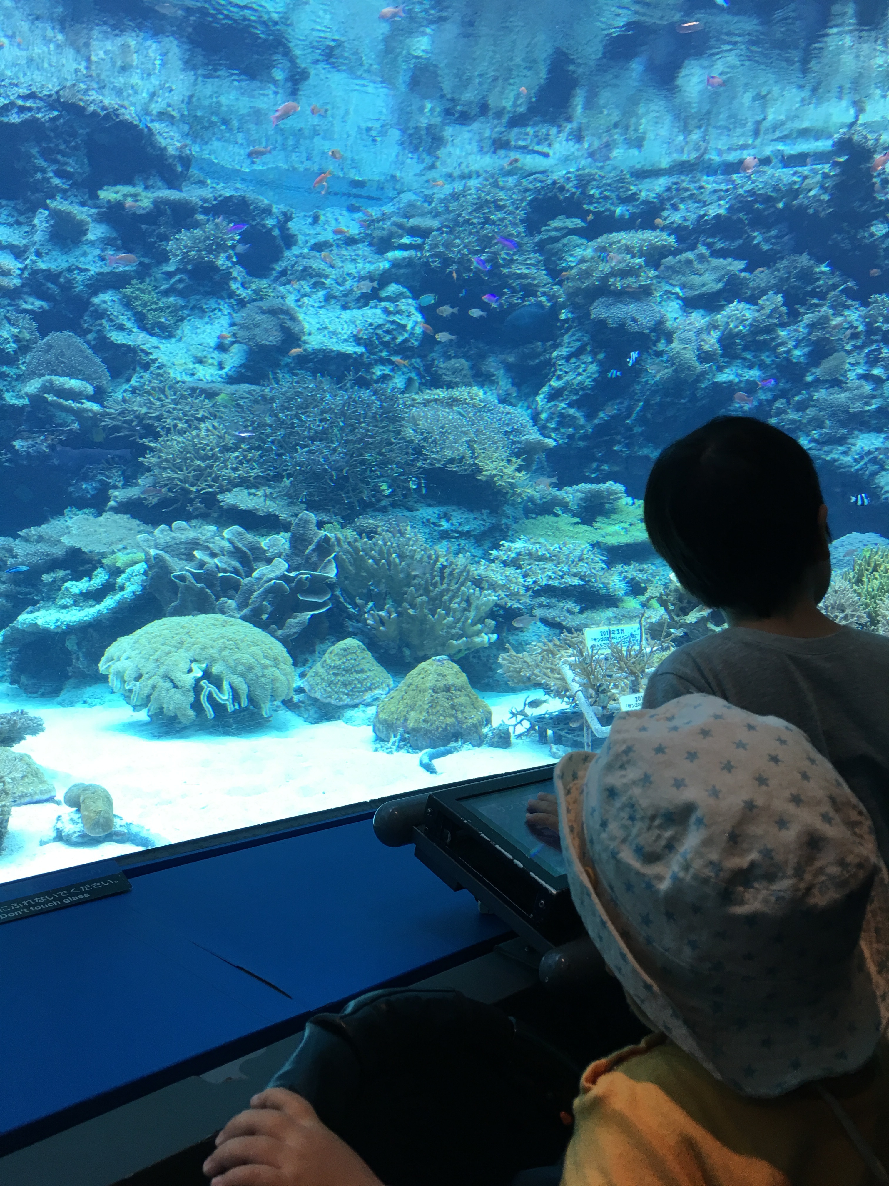 沖縄美ら海水族館_口コミ投稿写真20180903104036