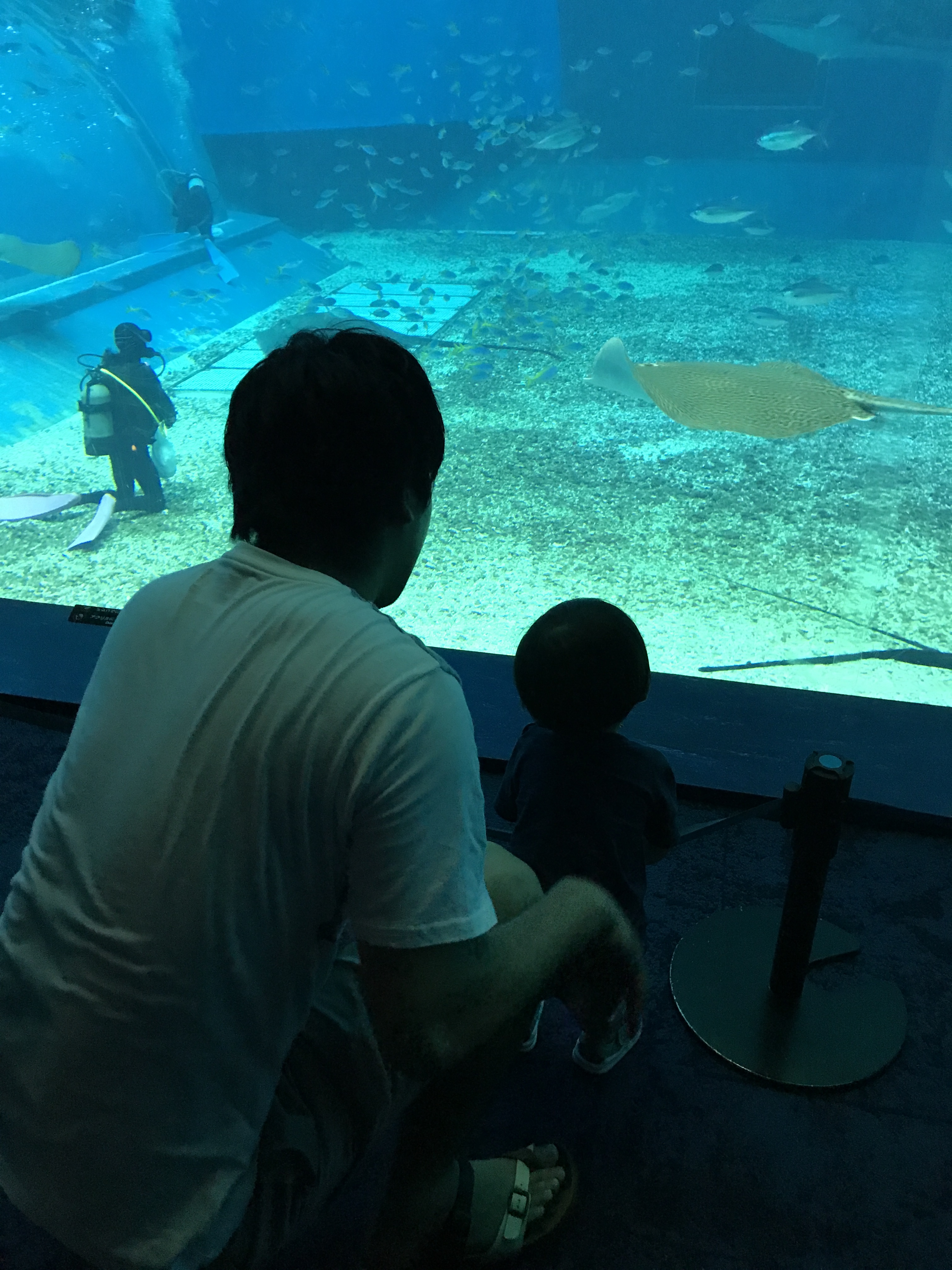 沖縄美ら海水族館_口コミ投稿写真20180910215539