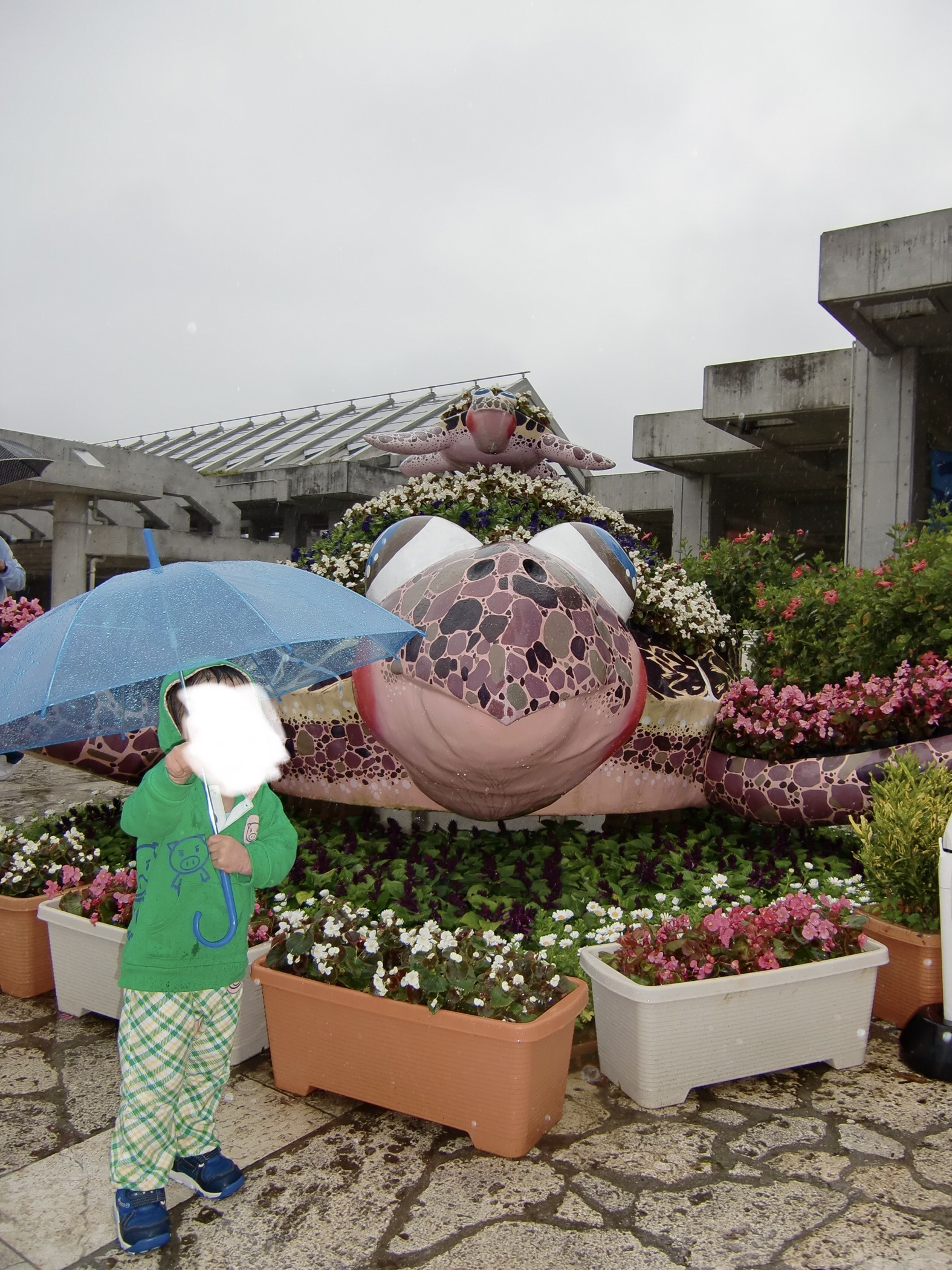 沖縄美ら海水族館_口コミ投稿写真20180910224434