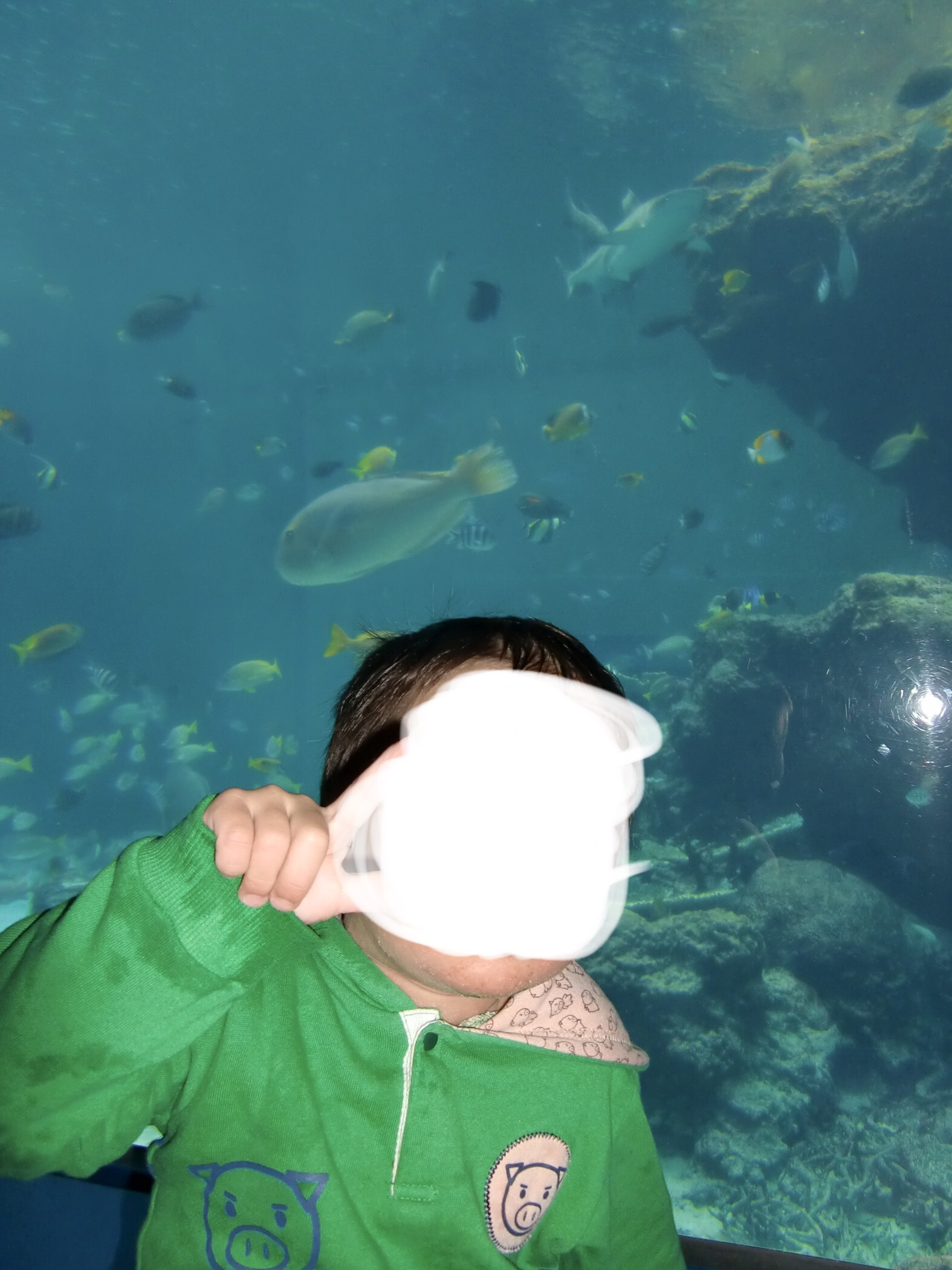 沖縄美ら海水族館_口コミ投稿写真20180910224443