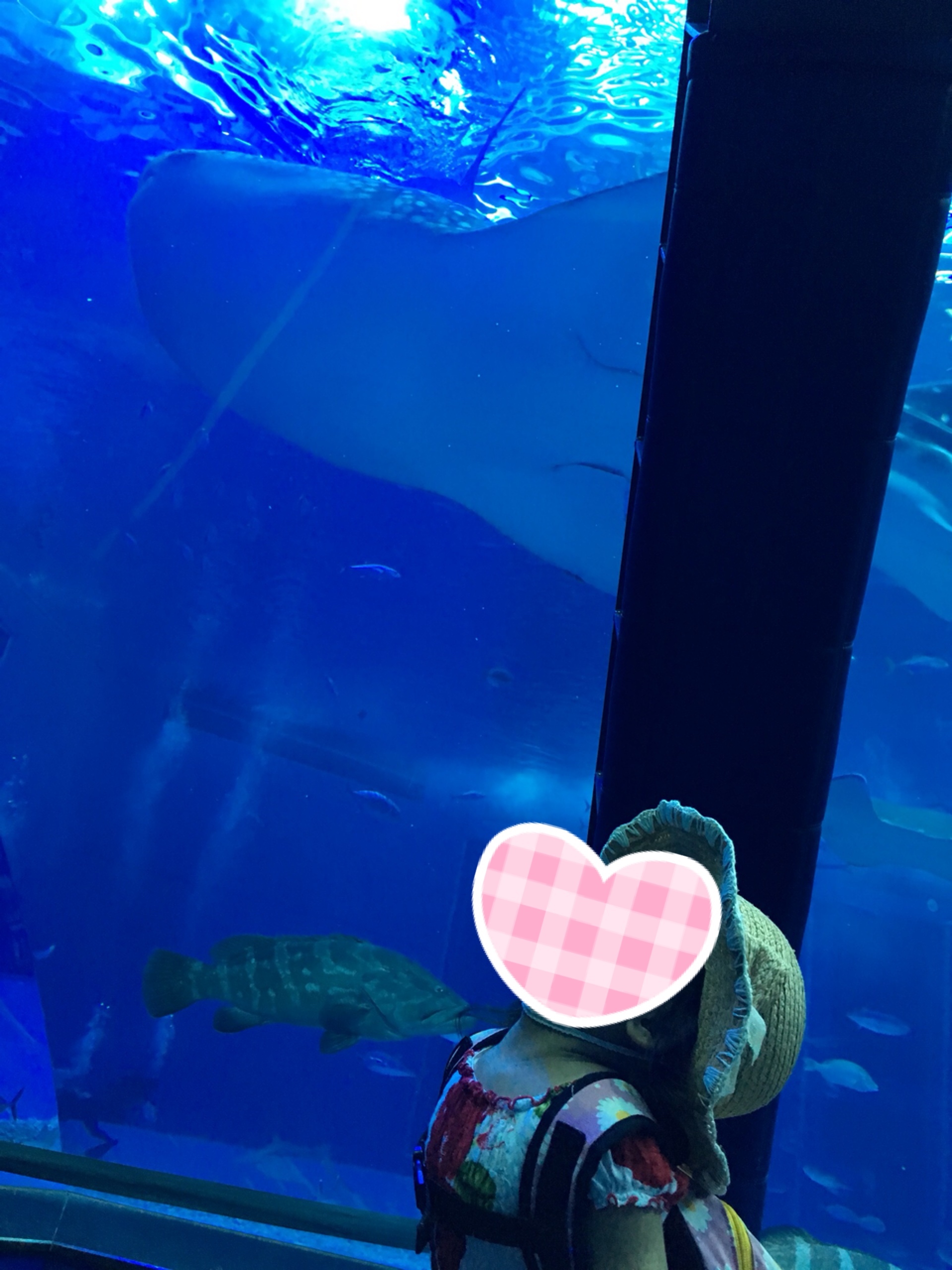 沖縄美ら海水族館_口コミ投稿写真20181028181954