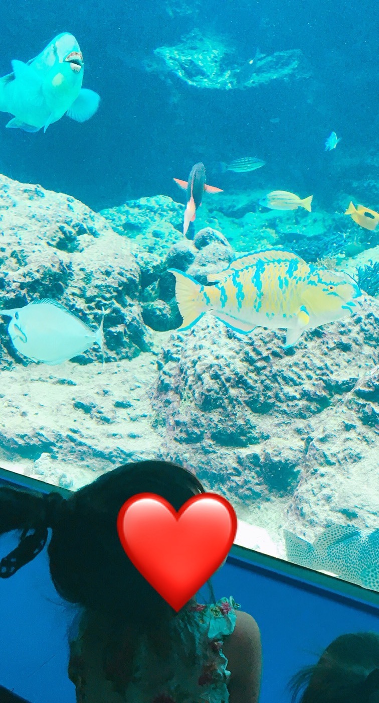 沖縄美ら海水族館_口コミ投稿写真20181121063202