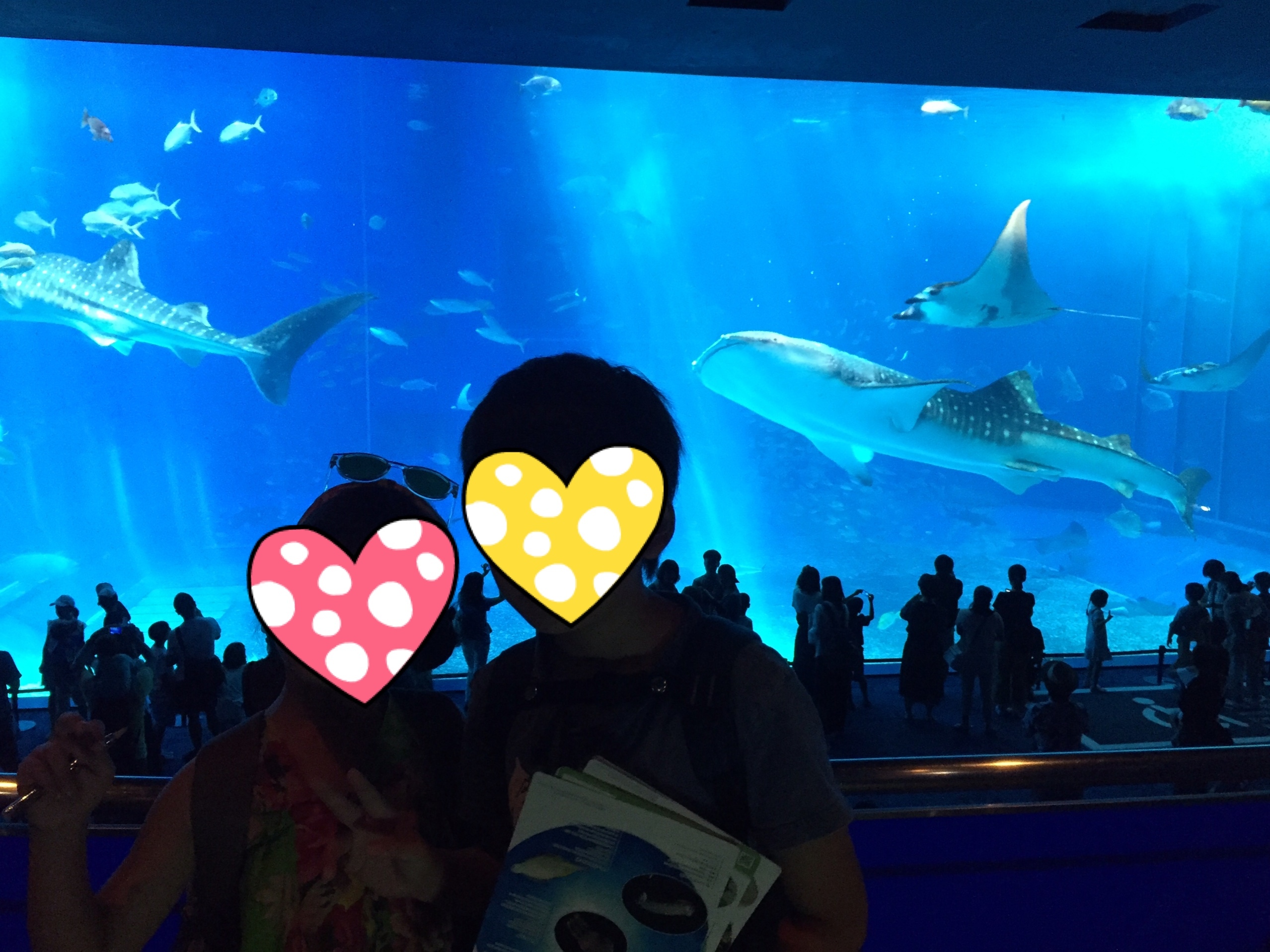 沖縄美ら海水族館_口コミ投稿写真20181129231321