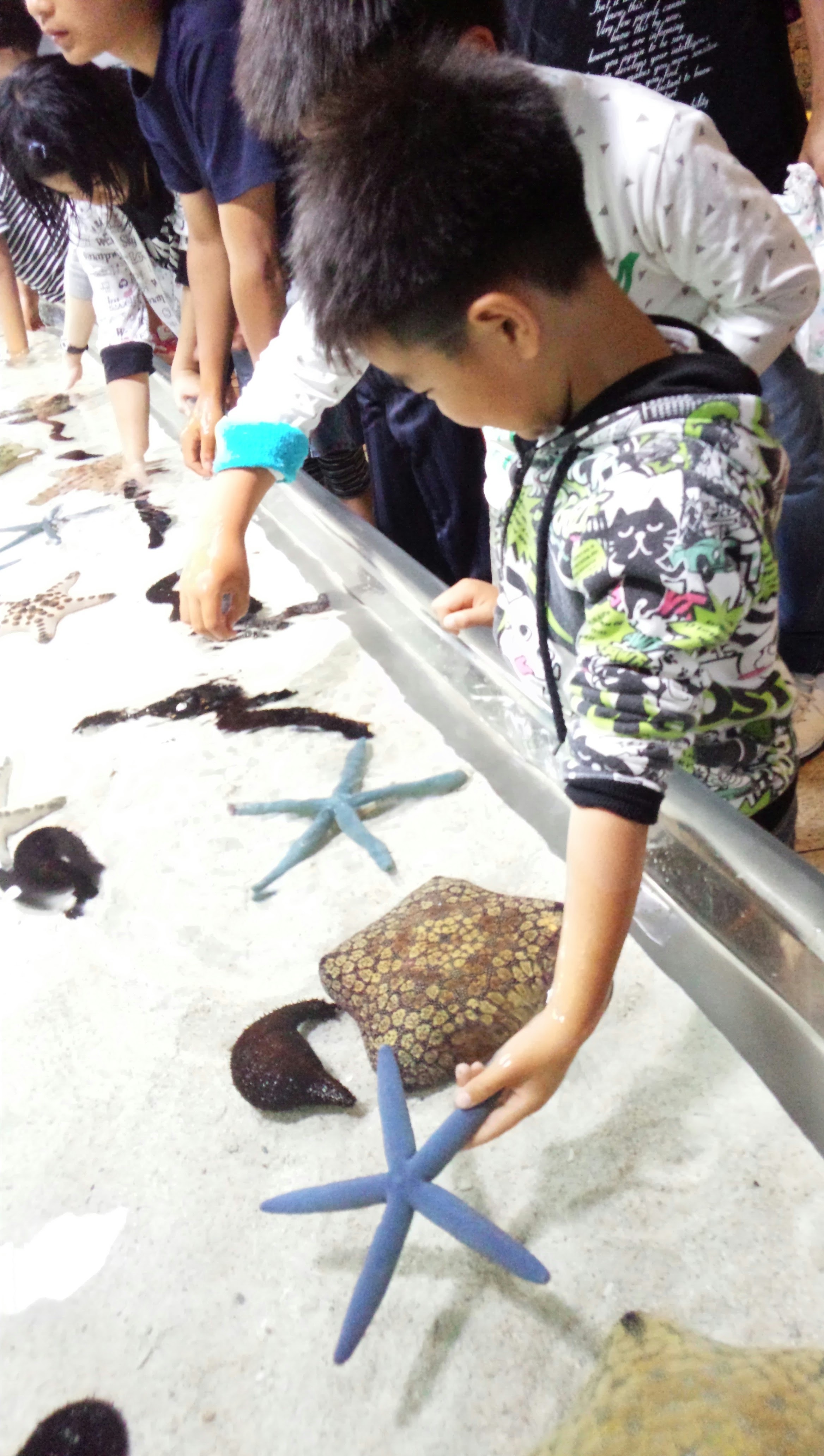 沖縄美ら海水族館_口コミ投稿写真20181130085244