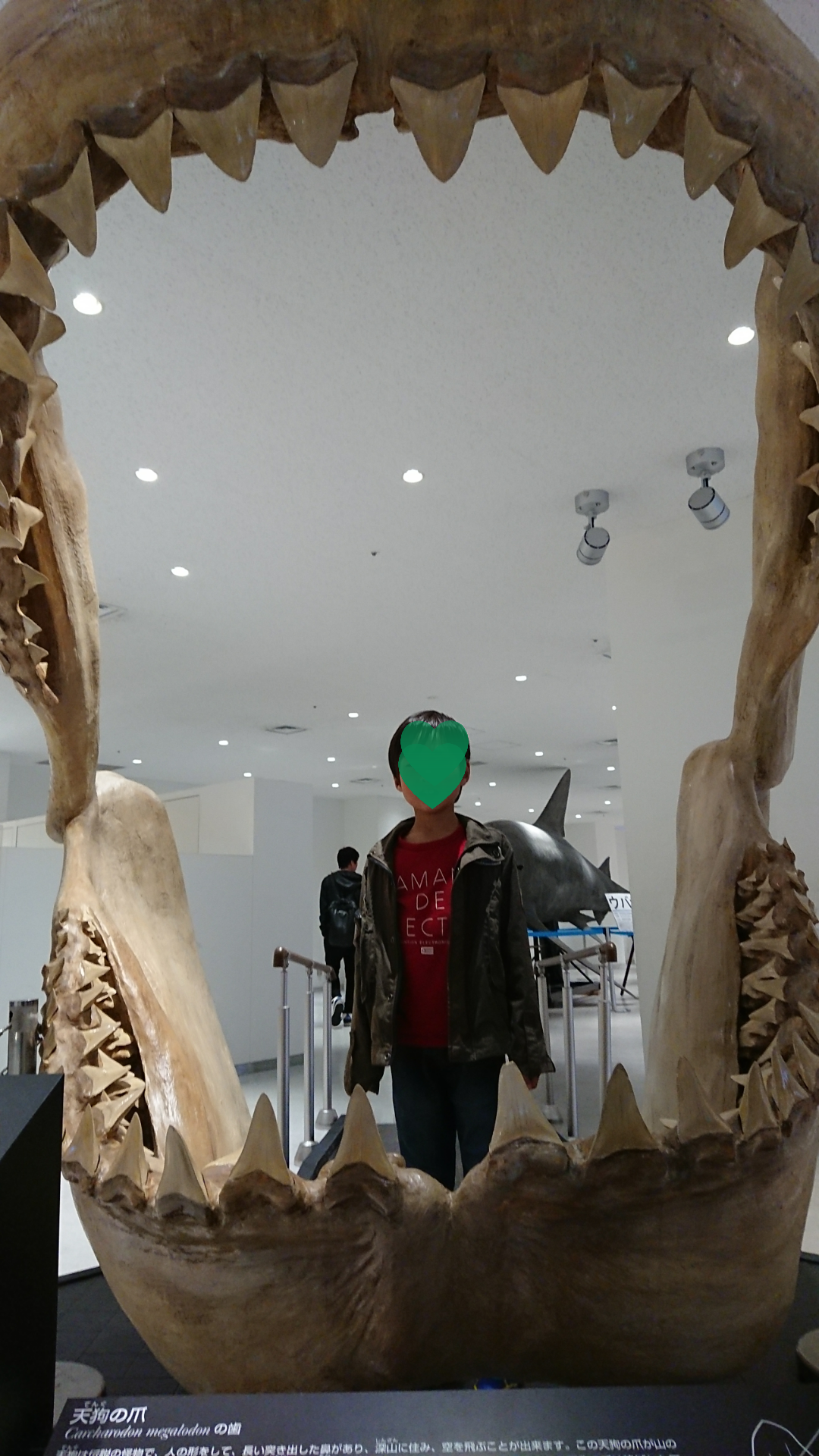 沖縄美ら海水族館_口コミ投稿写真20190127135551