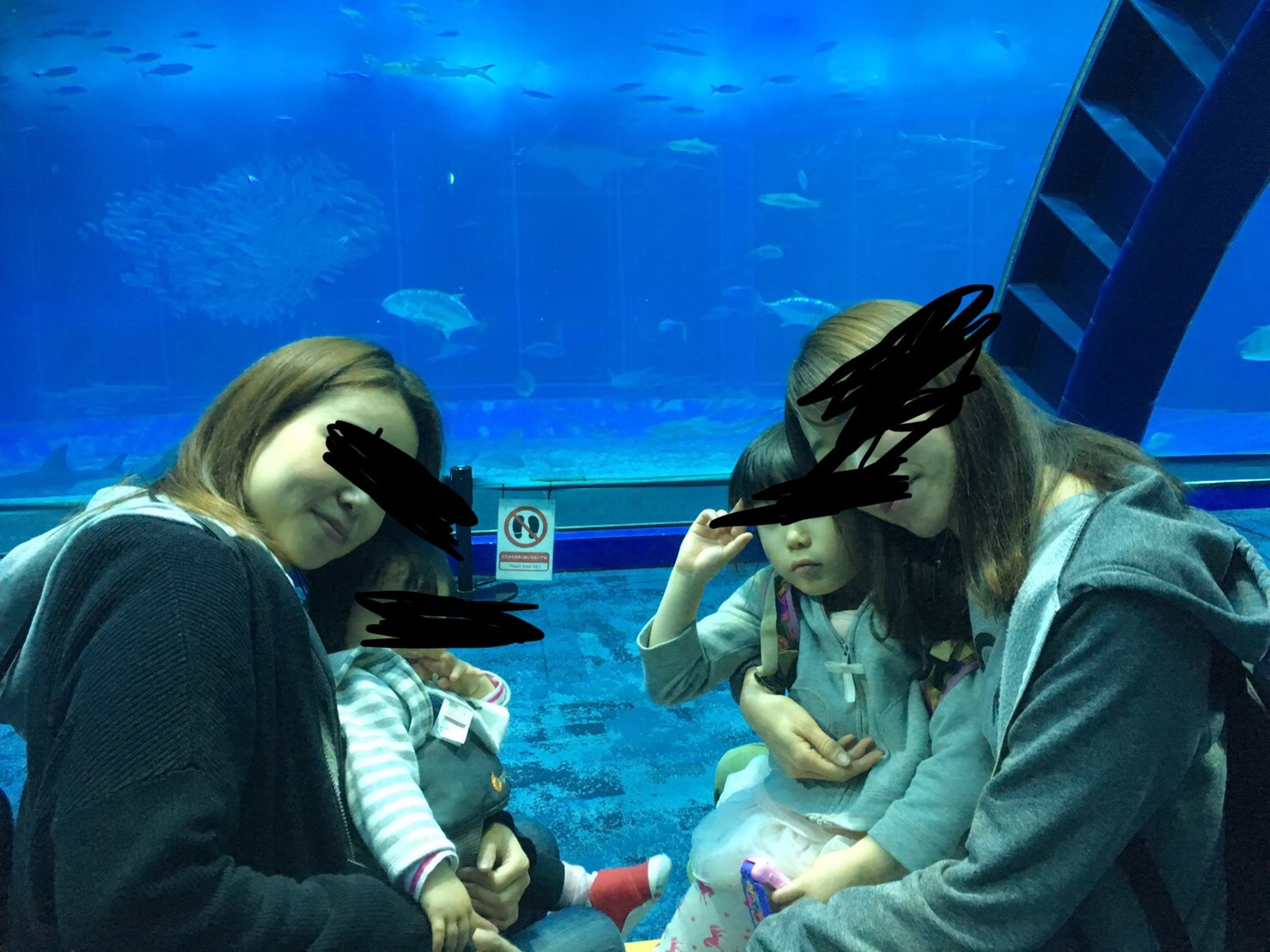 沖縄美ら海水族館_口コミ投稿写真20190228174653