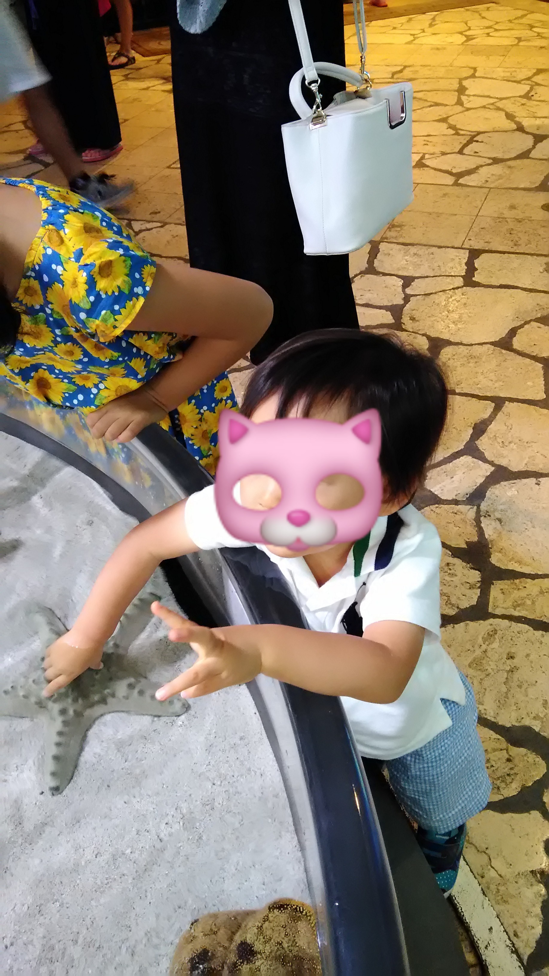 沖縄美ら海水族館_口コミ投稿写真20190912143223