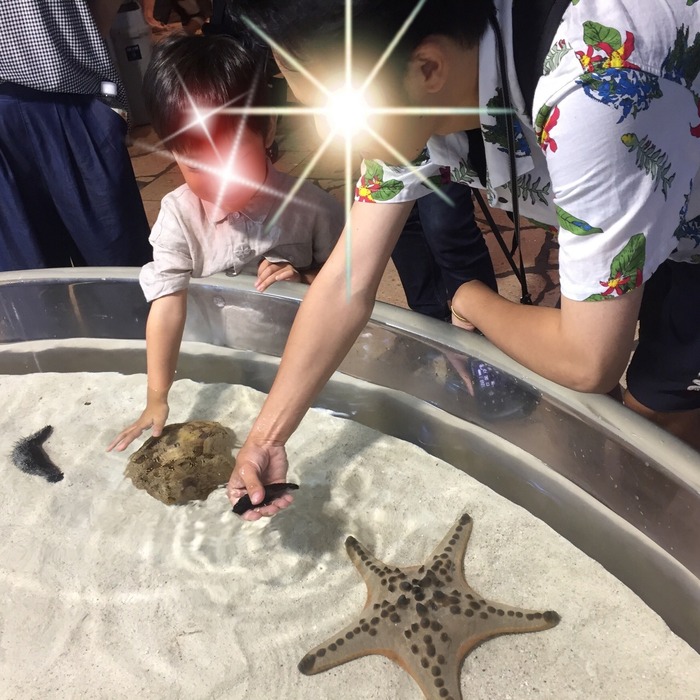 沖縄美ら海水族館_口コミ投稿写真20190930170702