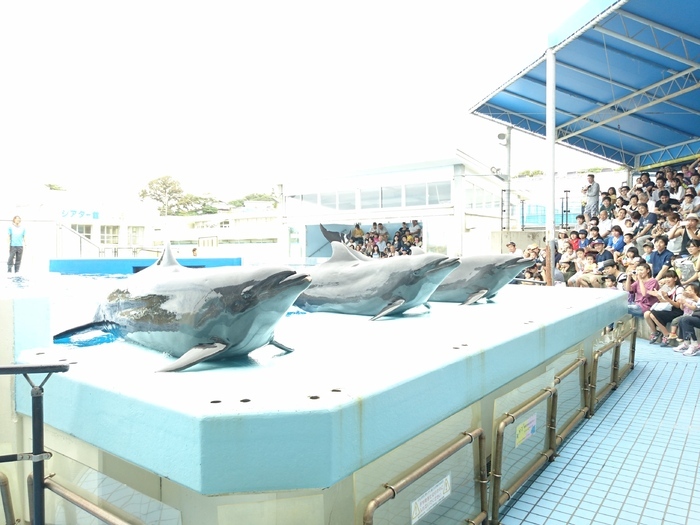 越前松島水族館_口コミ投稿写真20170903225100059