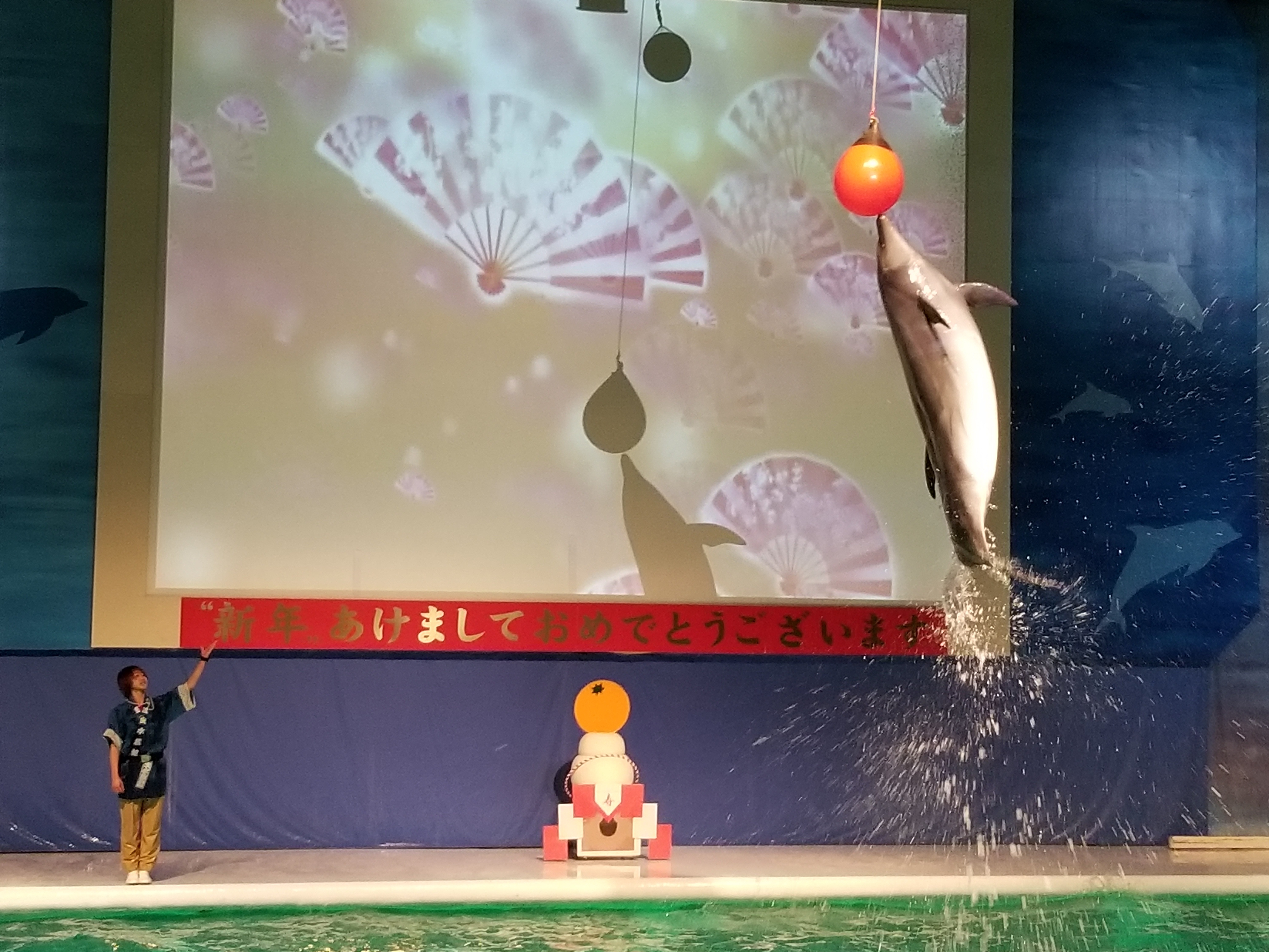 青森県営浅虫水族館 青森市 浅虫温泉駅 口コミ 評判 Epark 青森県営浅虫水族館 青森市 浅虫温泉駅 口コミ 評判 Epark