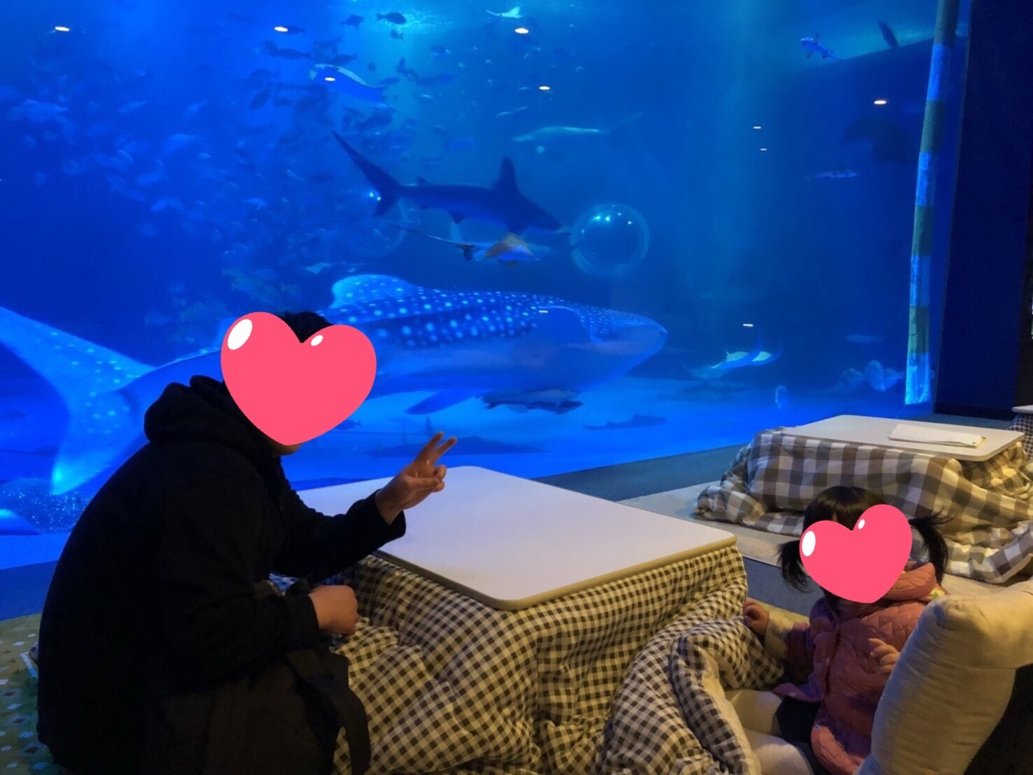 口コミ】のとじま水族館 [七尾市]｜Epark