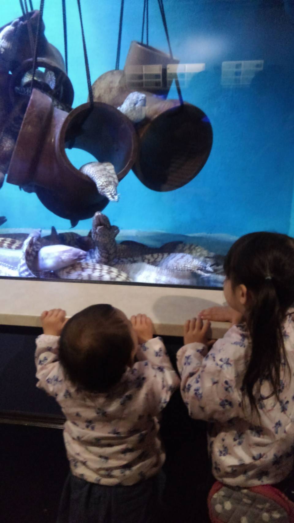 口コミ 竹島水族館 蒲郡市 蒲郡駅 口コミ 評判 Epark