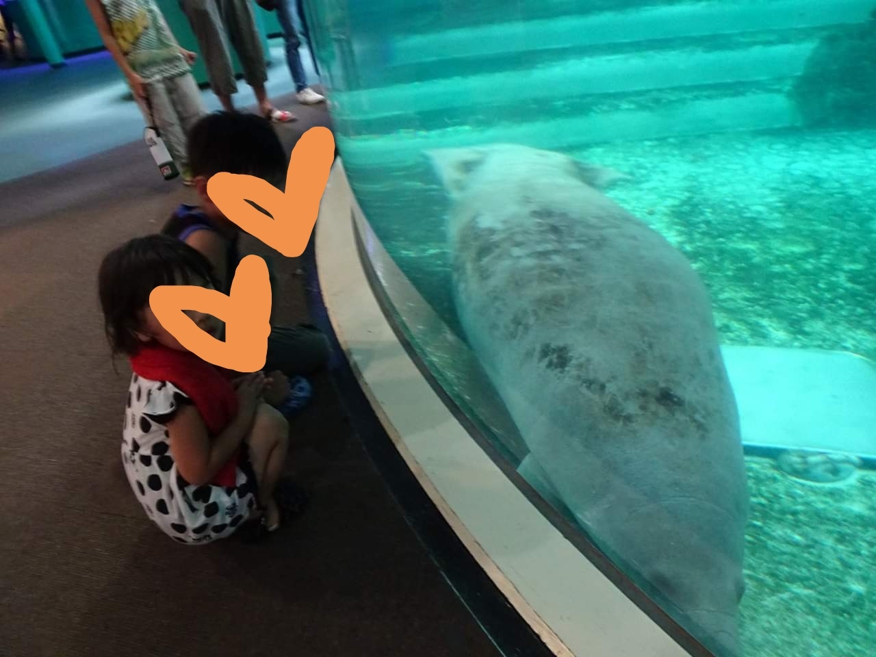 口コミ 新屋島水族館 高松市 Epark